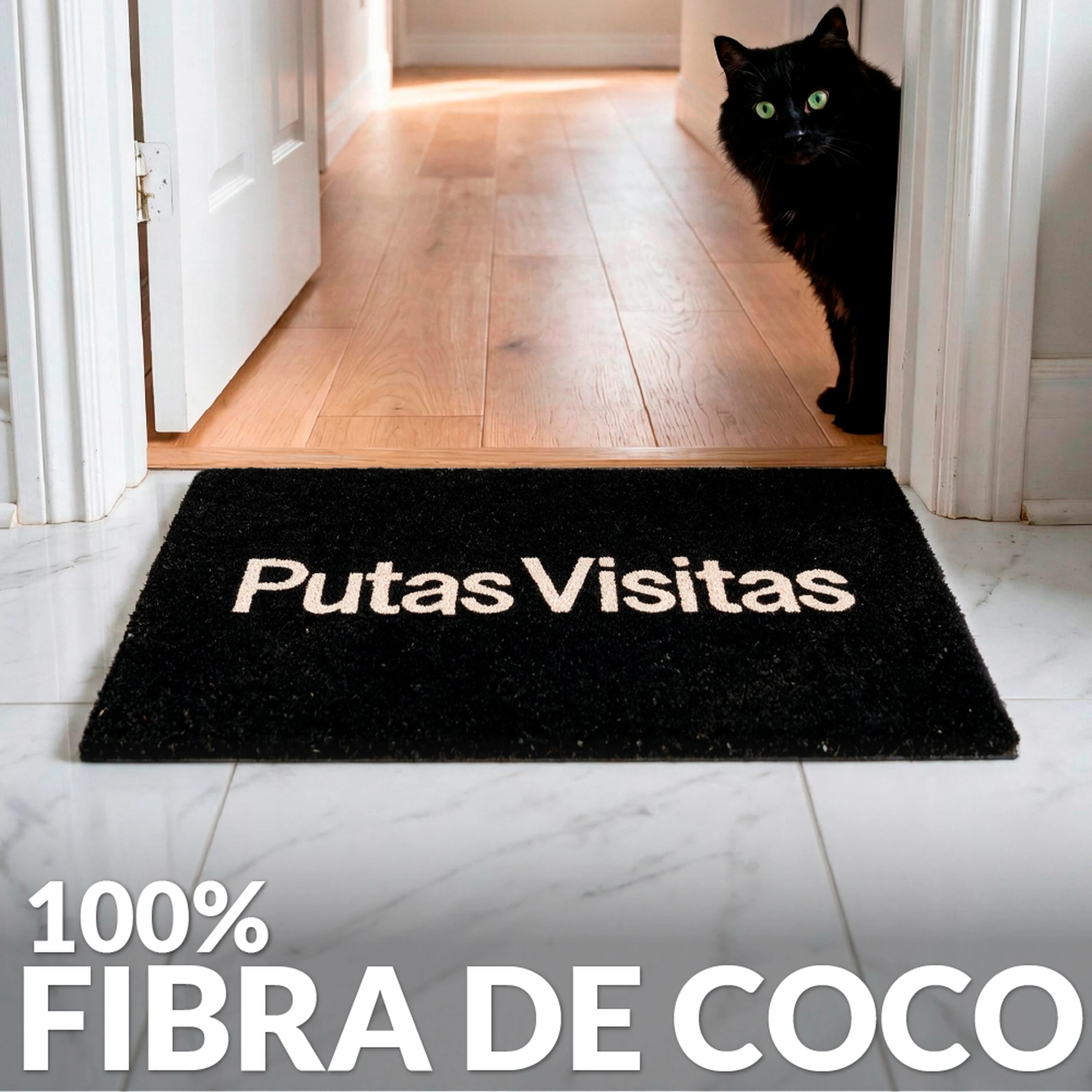 Felpudo "Putas Visitas"