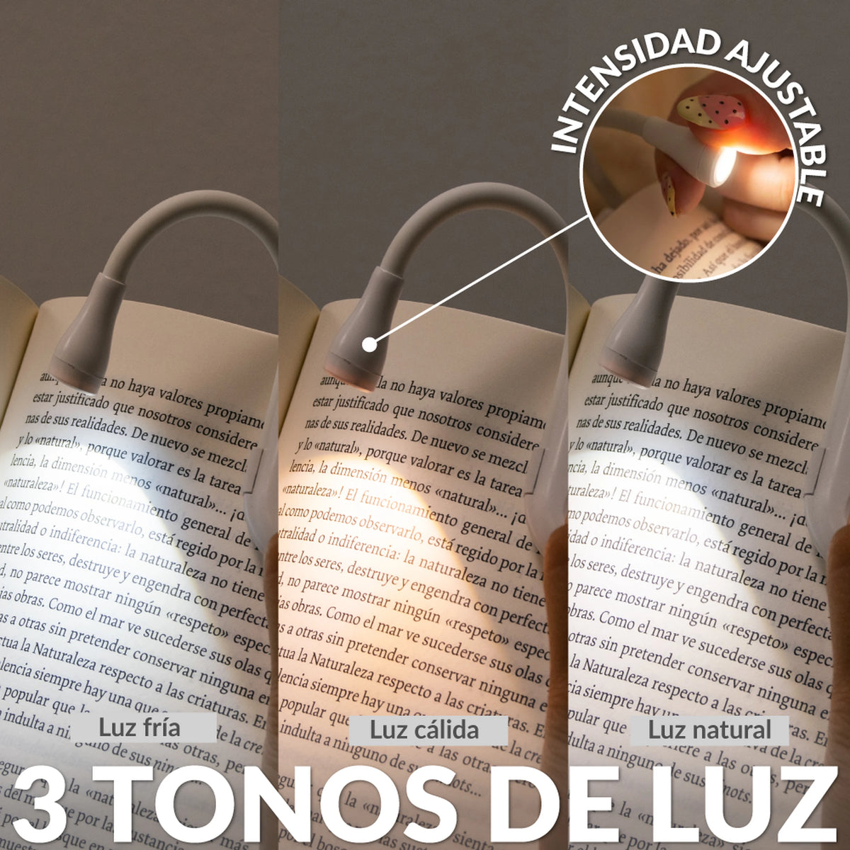 Luz de lectura orientable “Born to read”