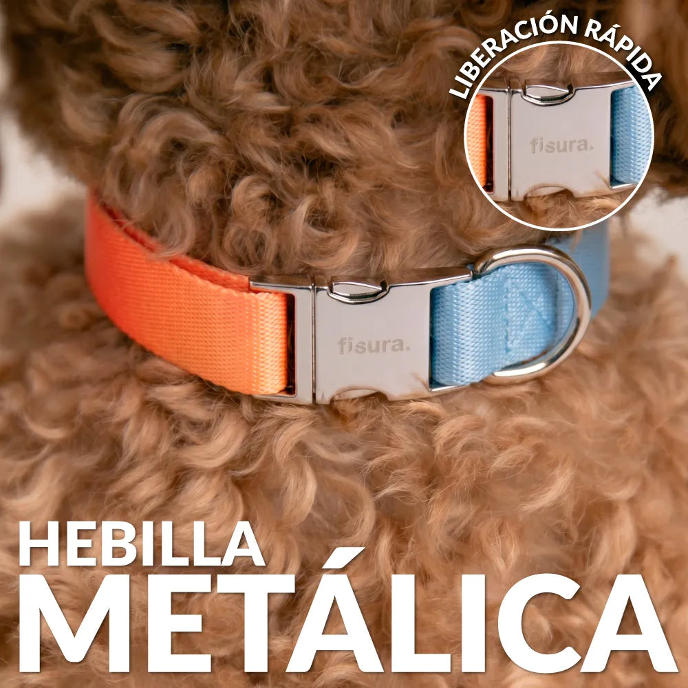 Collar “Degradado” S-M