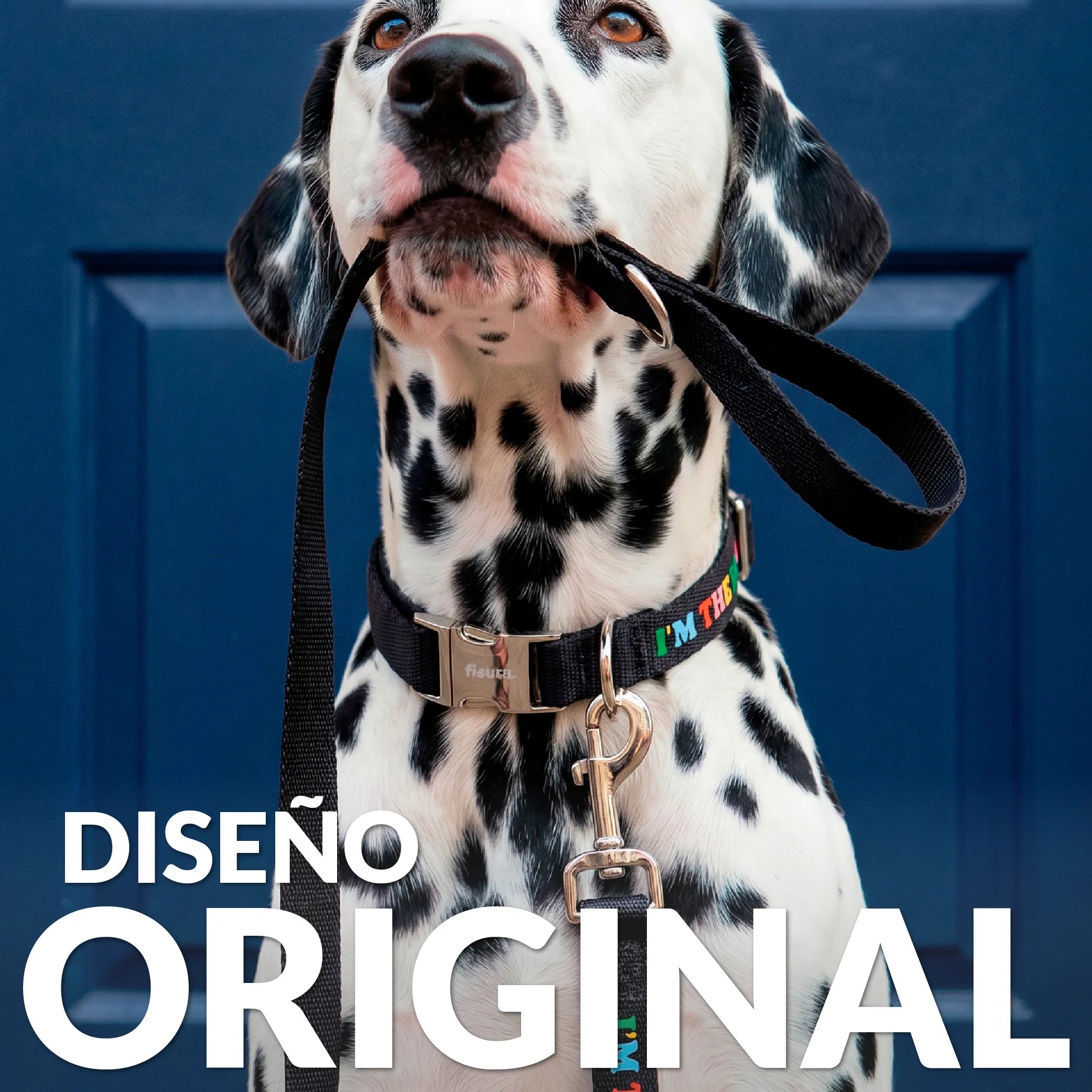 Pack de collar y correa "I’m the boss" L