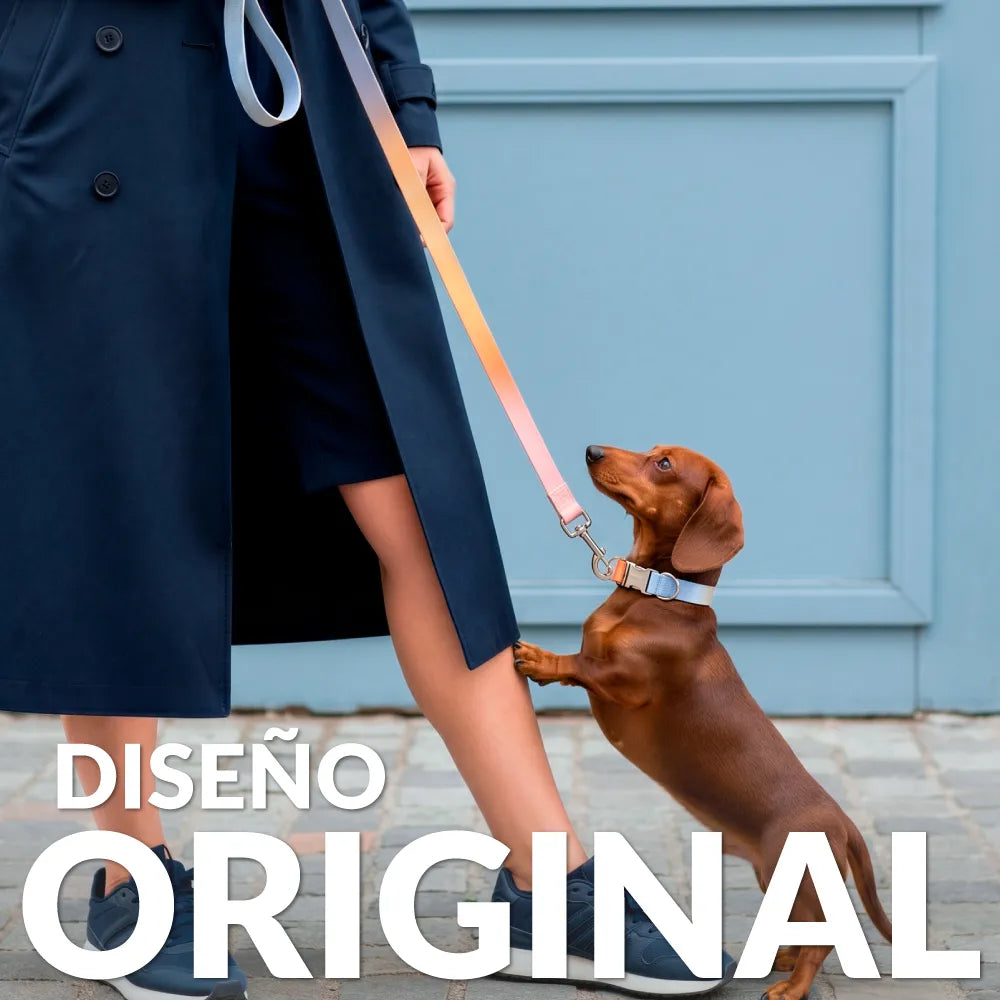Pack de collar y correa "Degradado" S-M