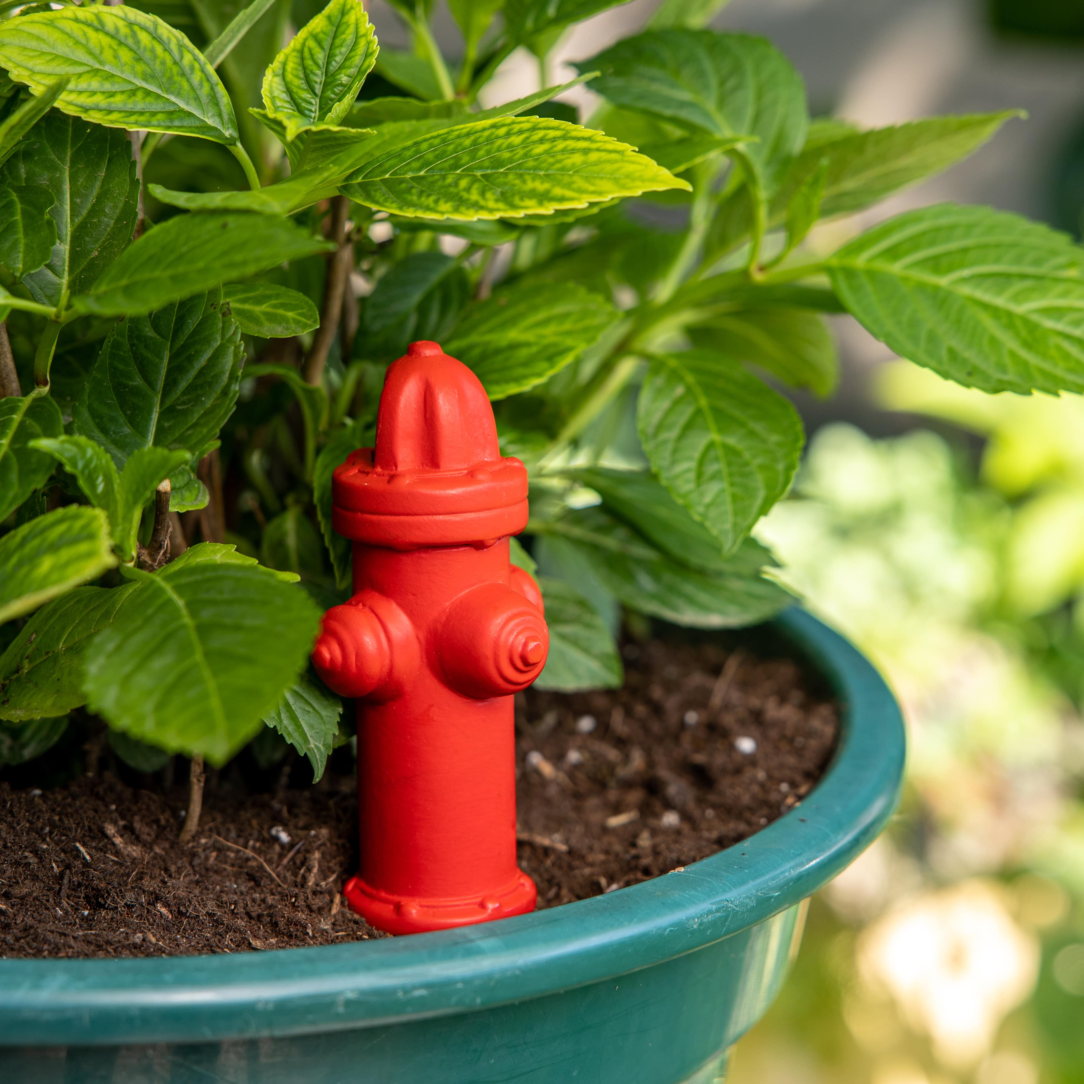 Autorriego boca de incendio
