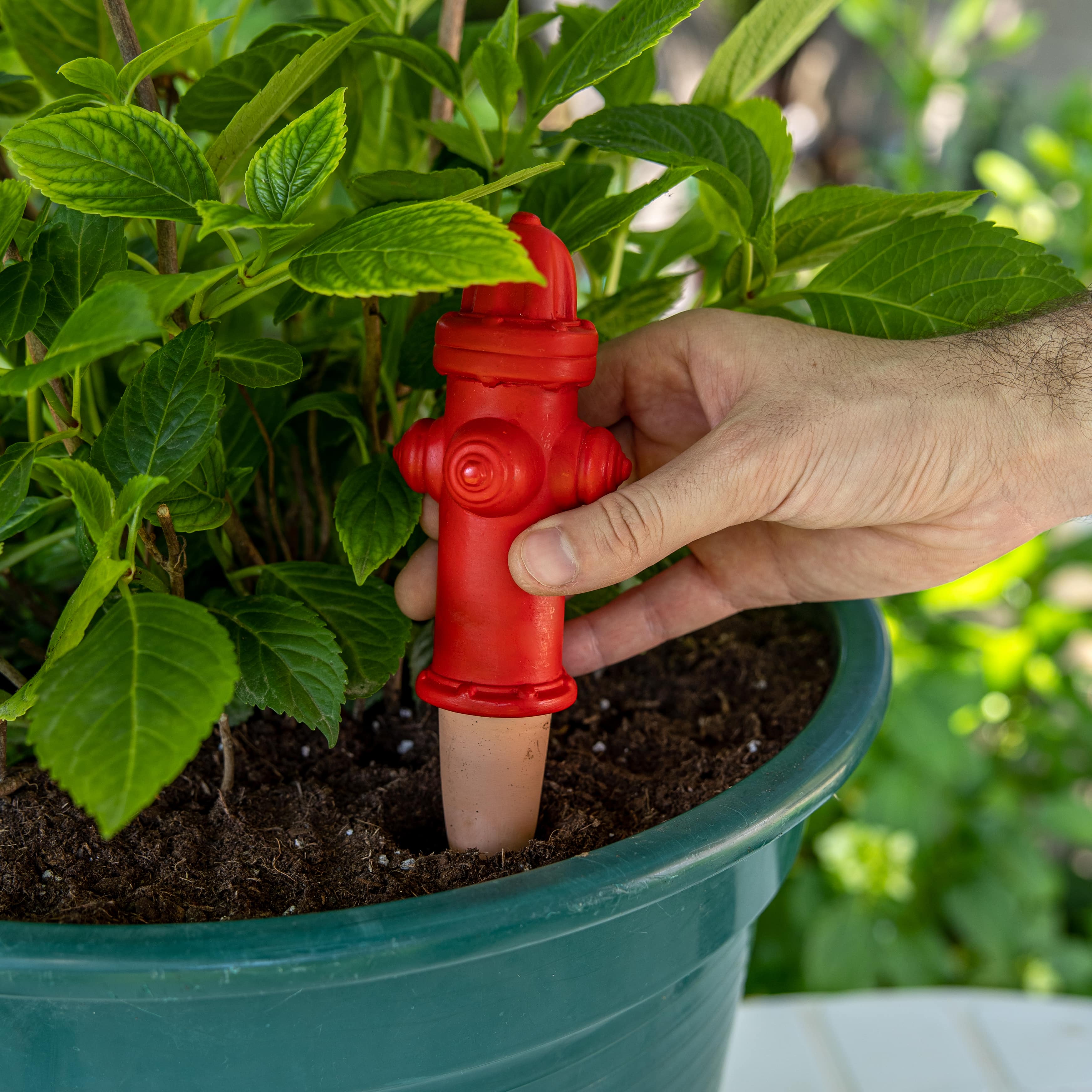 Autorriego boca de incendio