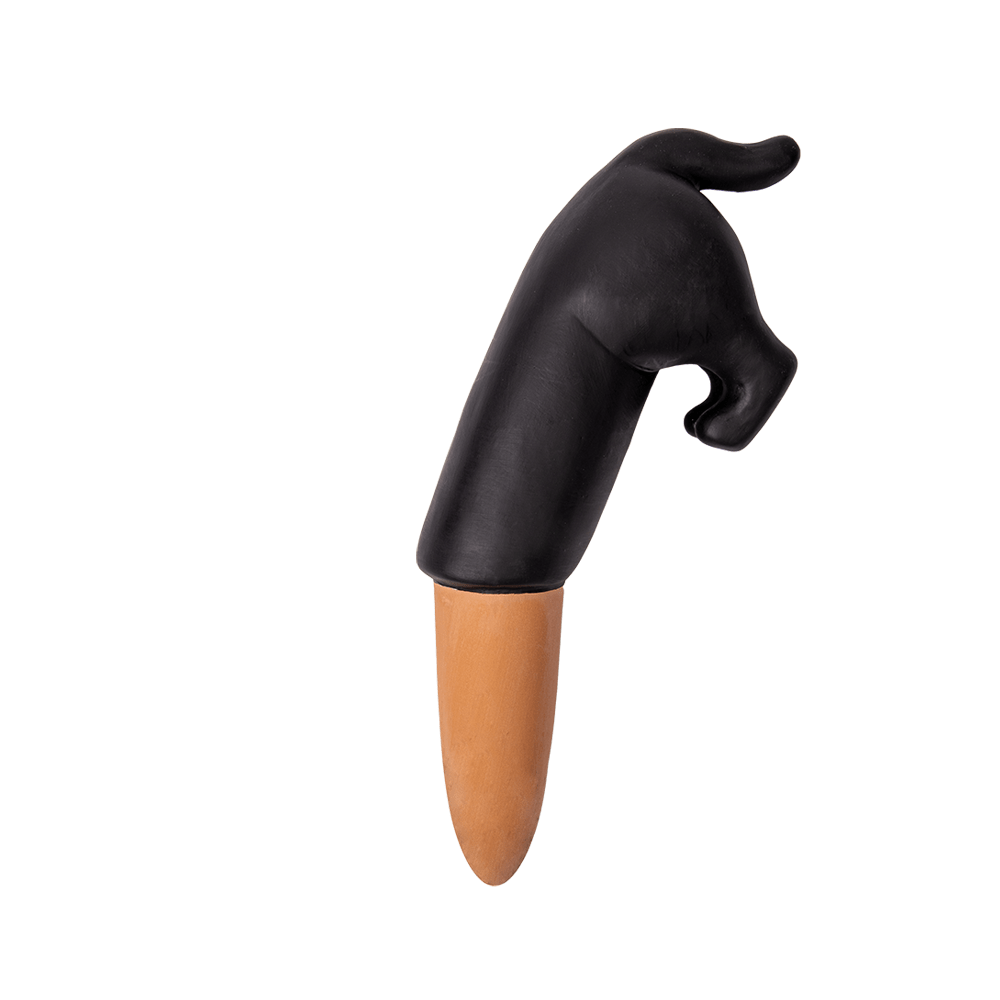 Autorriego perro negro