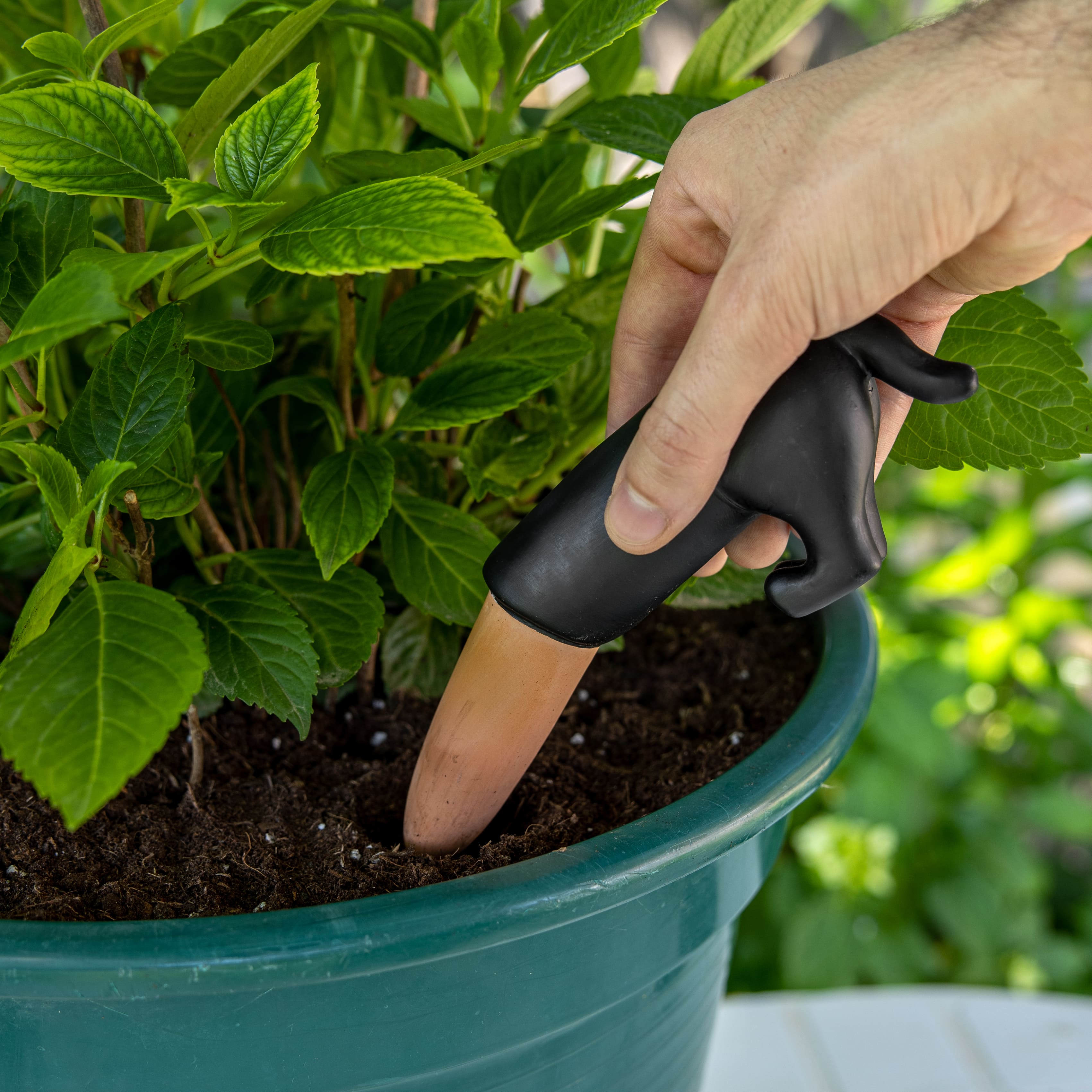 Autorriego perro negro