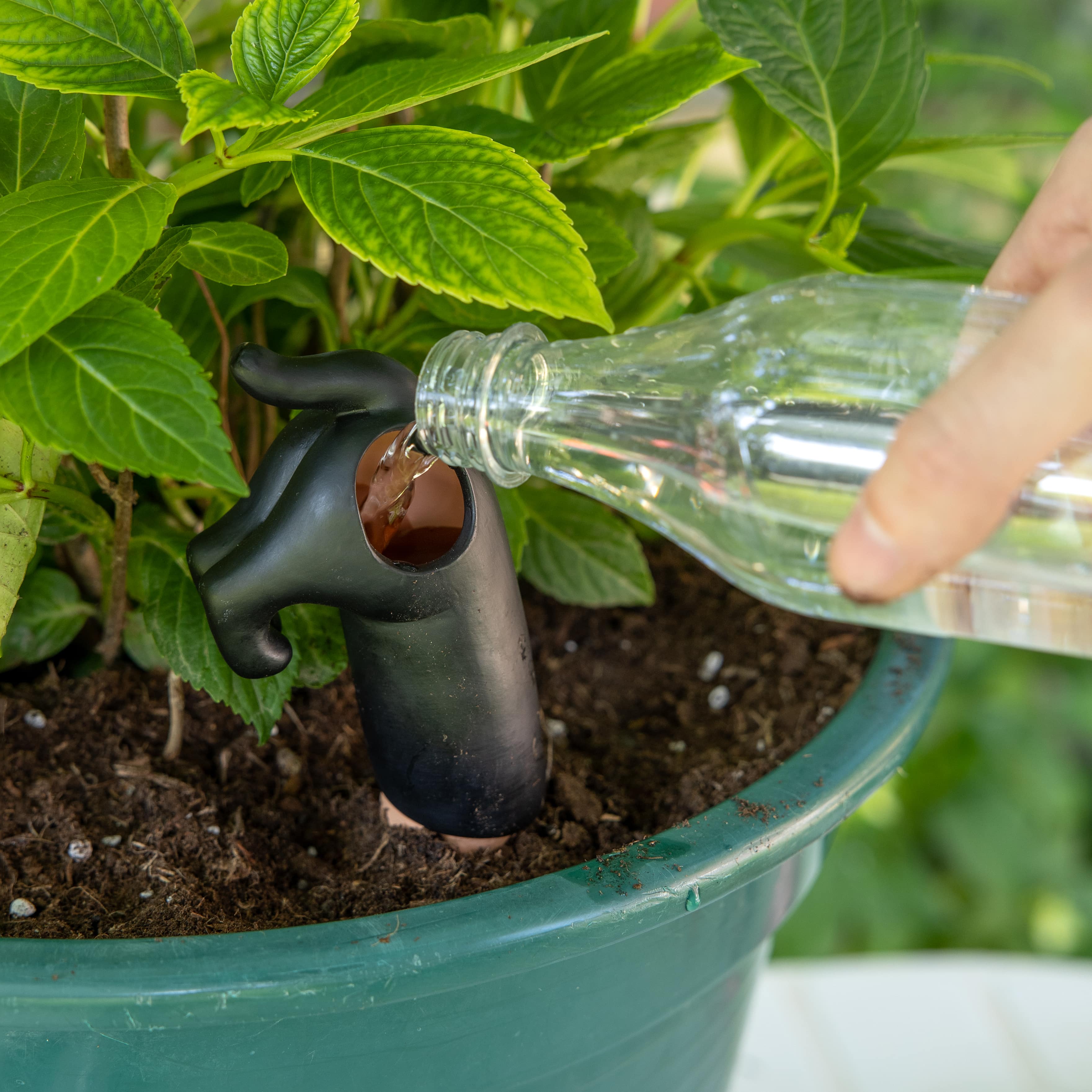 Autorriego perro negro