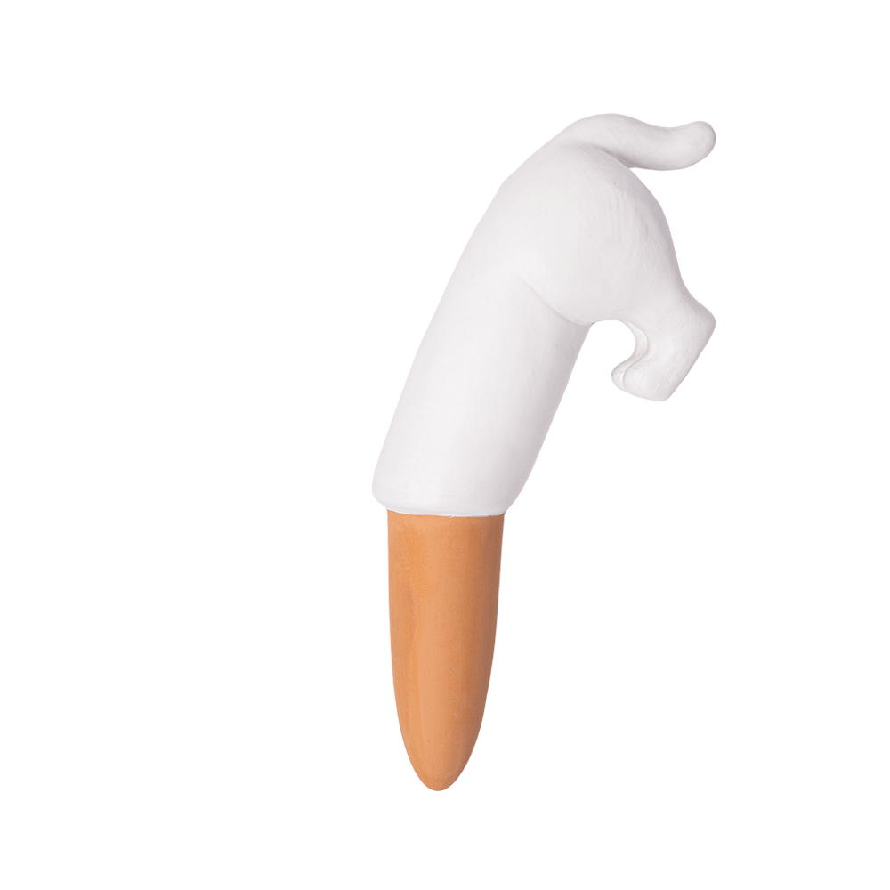 Autorriego perro blanco