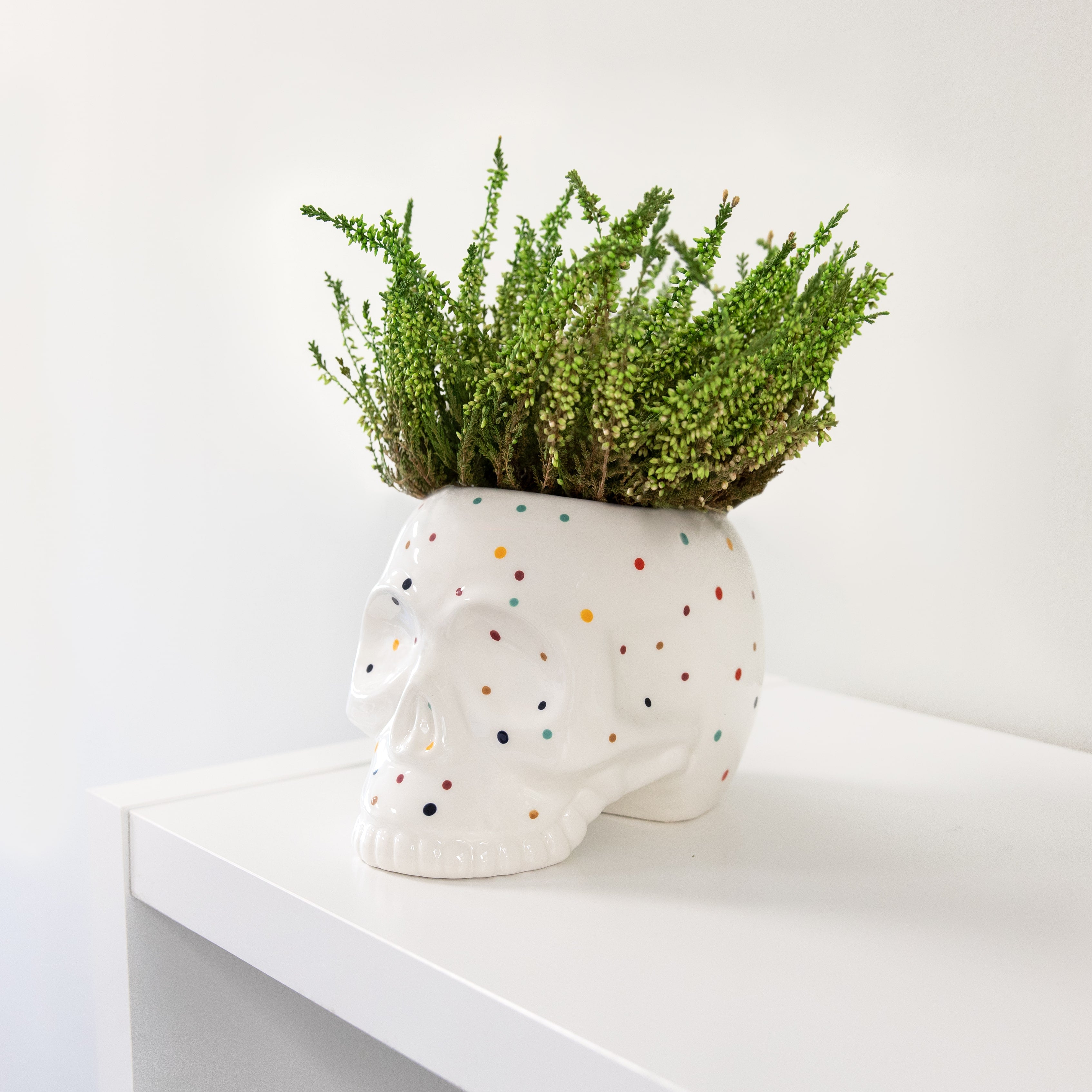 Macetero calavera "lunares"