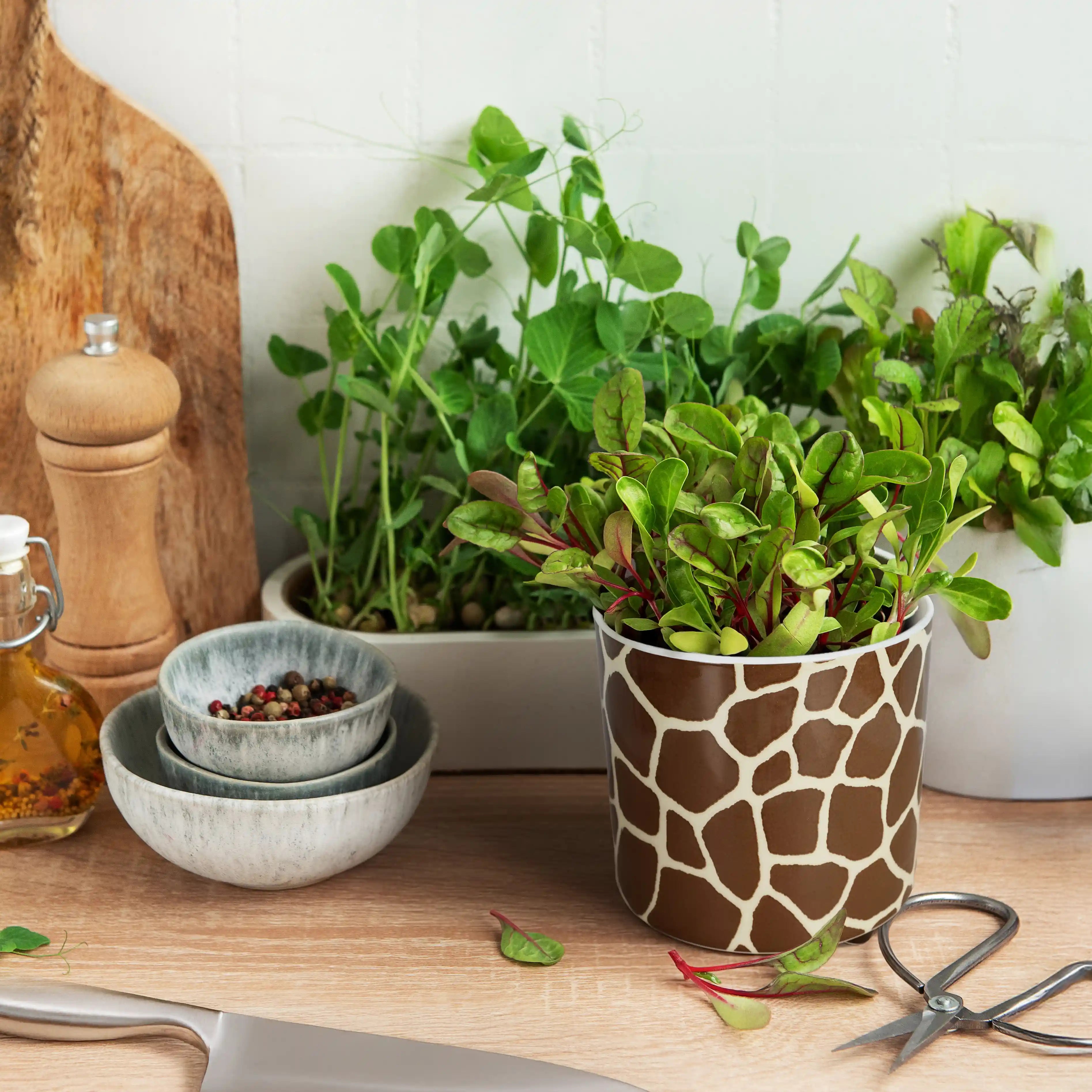 Macetero “Jirafa”