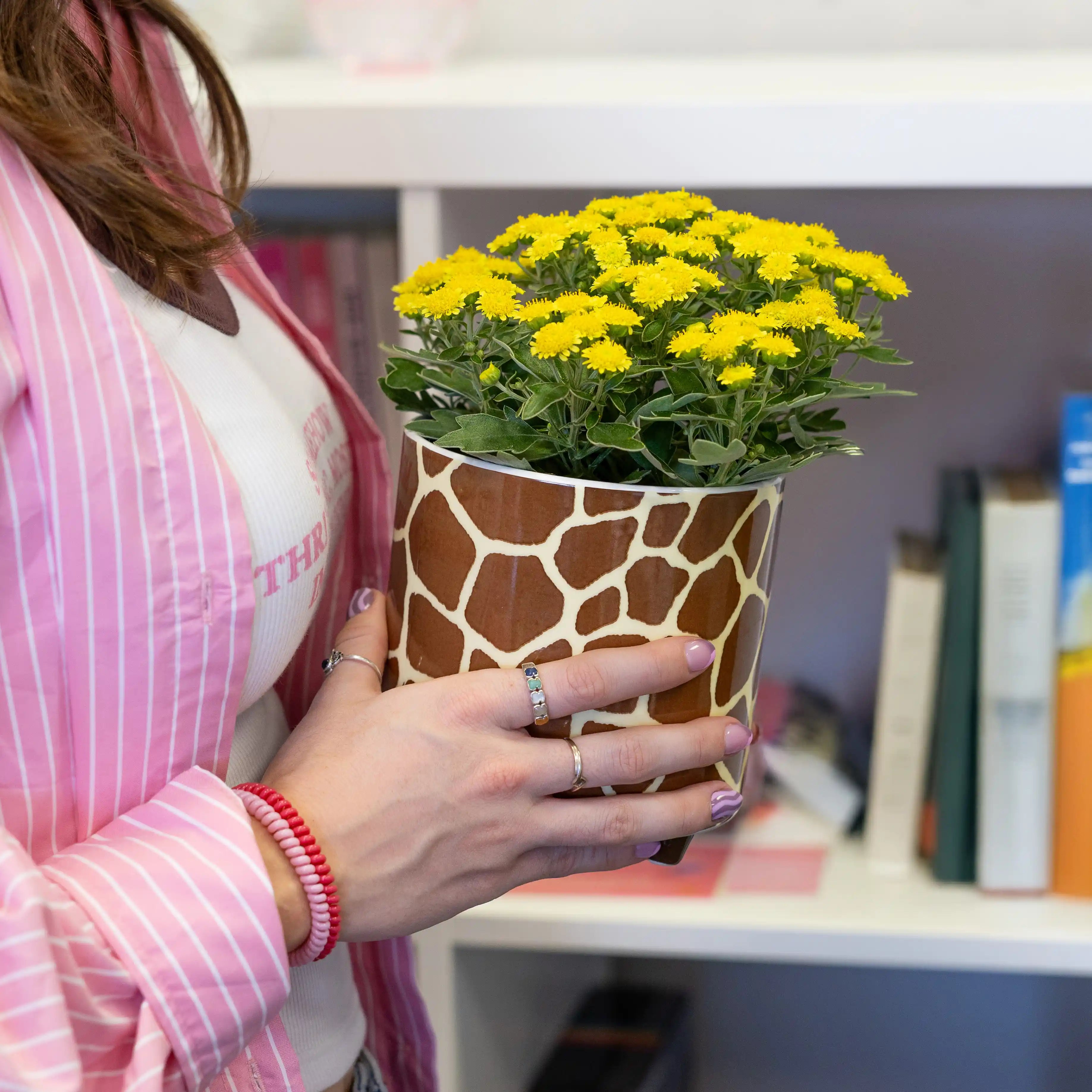 Macetero “Jirafa”