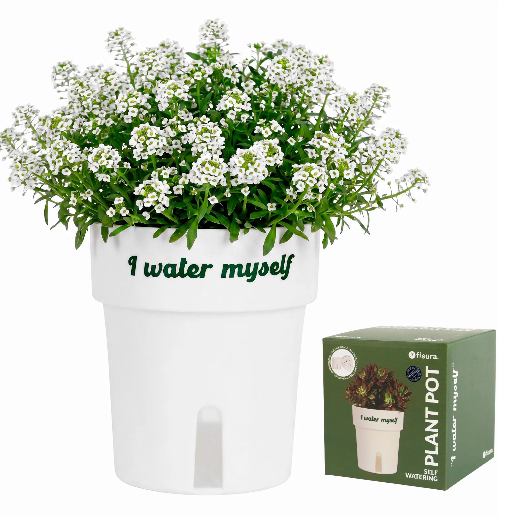 Macetero autorriego “I water myself”