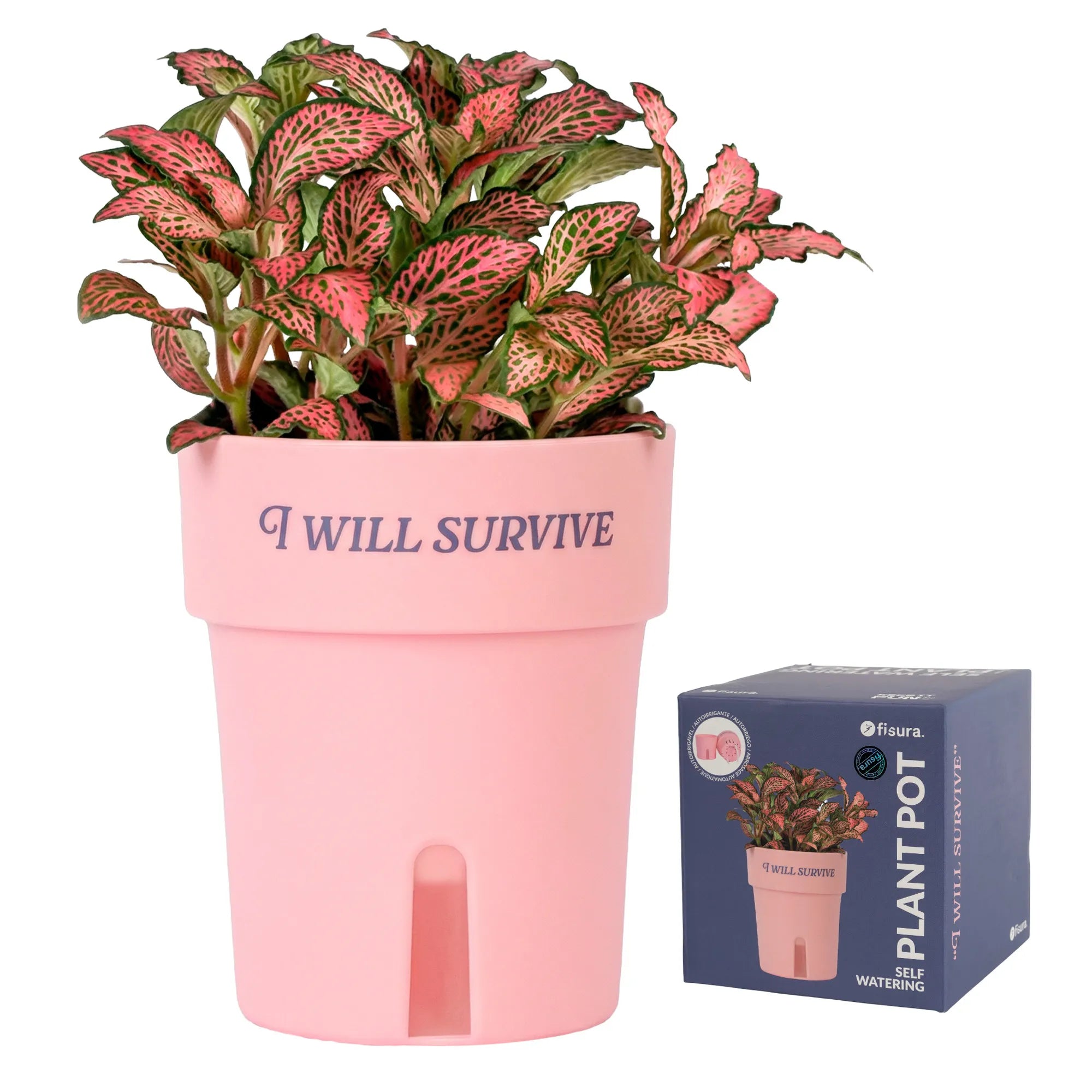 Macetero autorriego “I will survive”