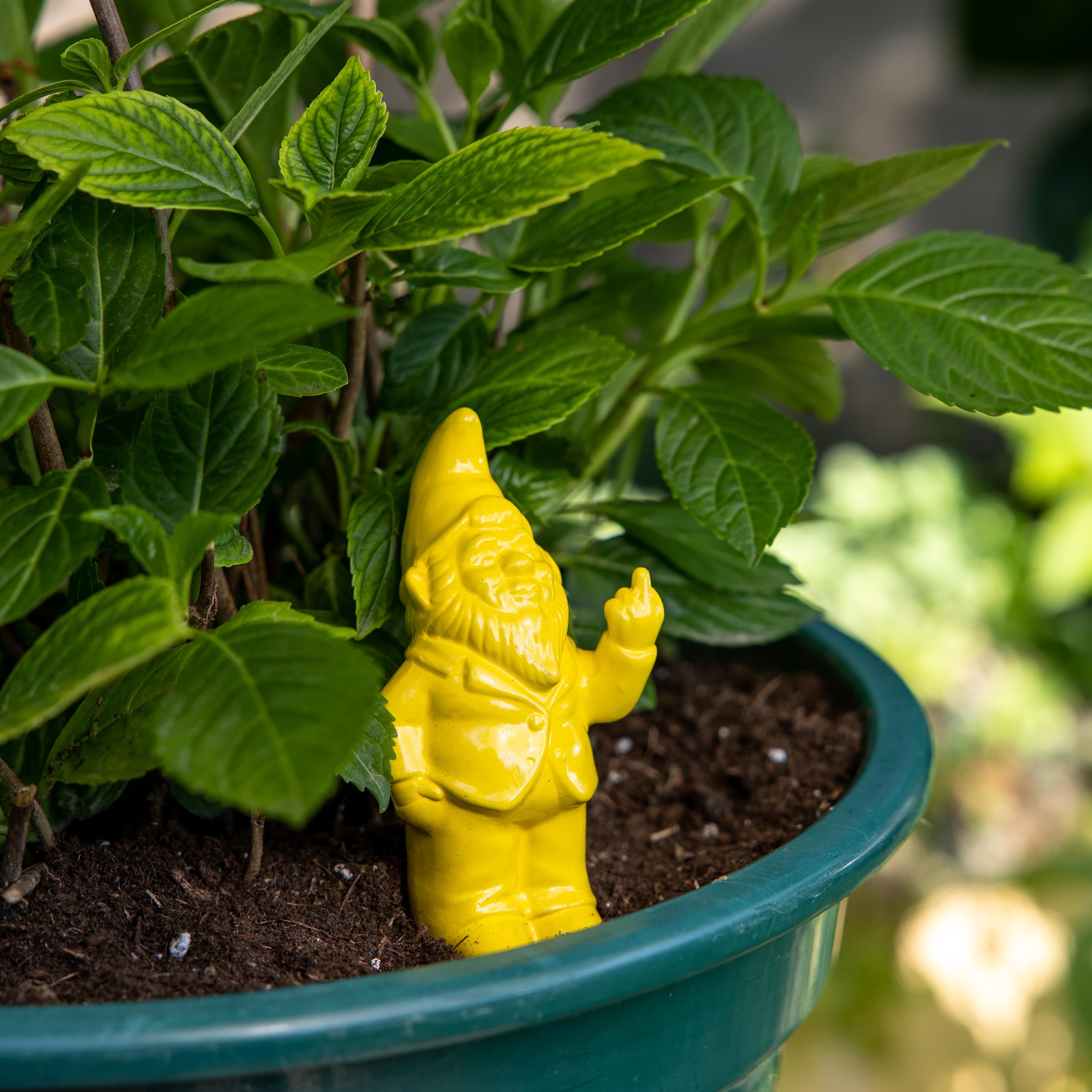 Autorriego gnomo amarillo