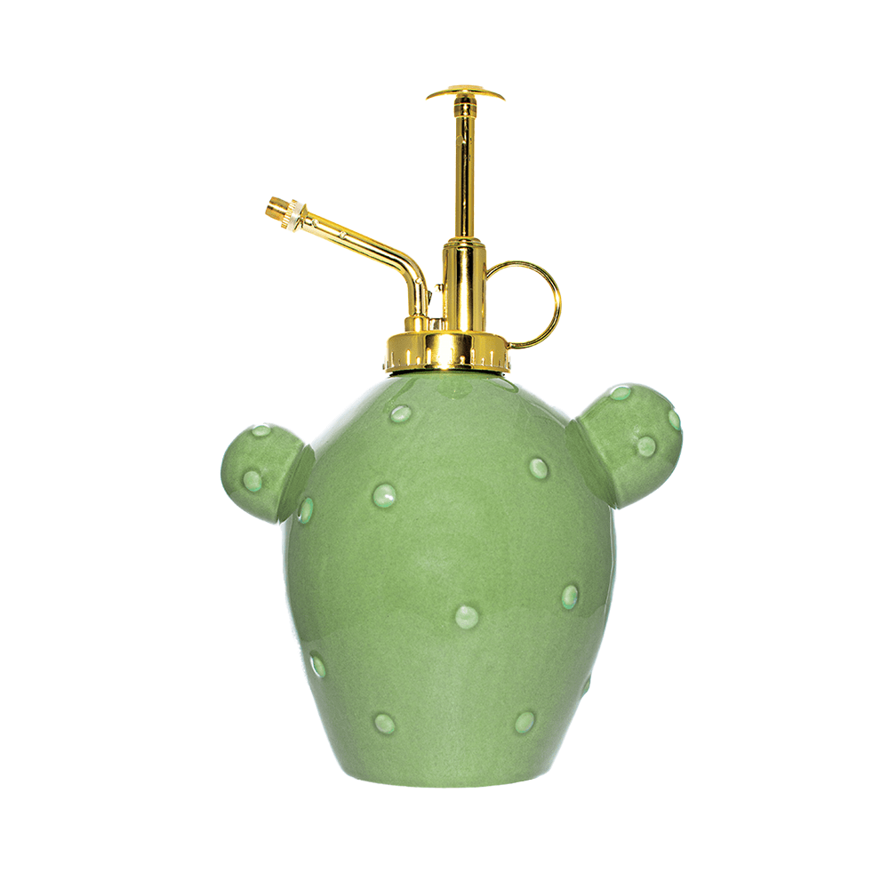 Pulverizador para plantas “cactus”