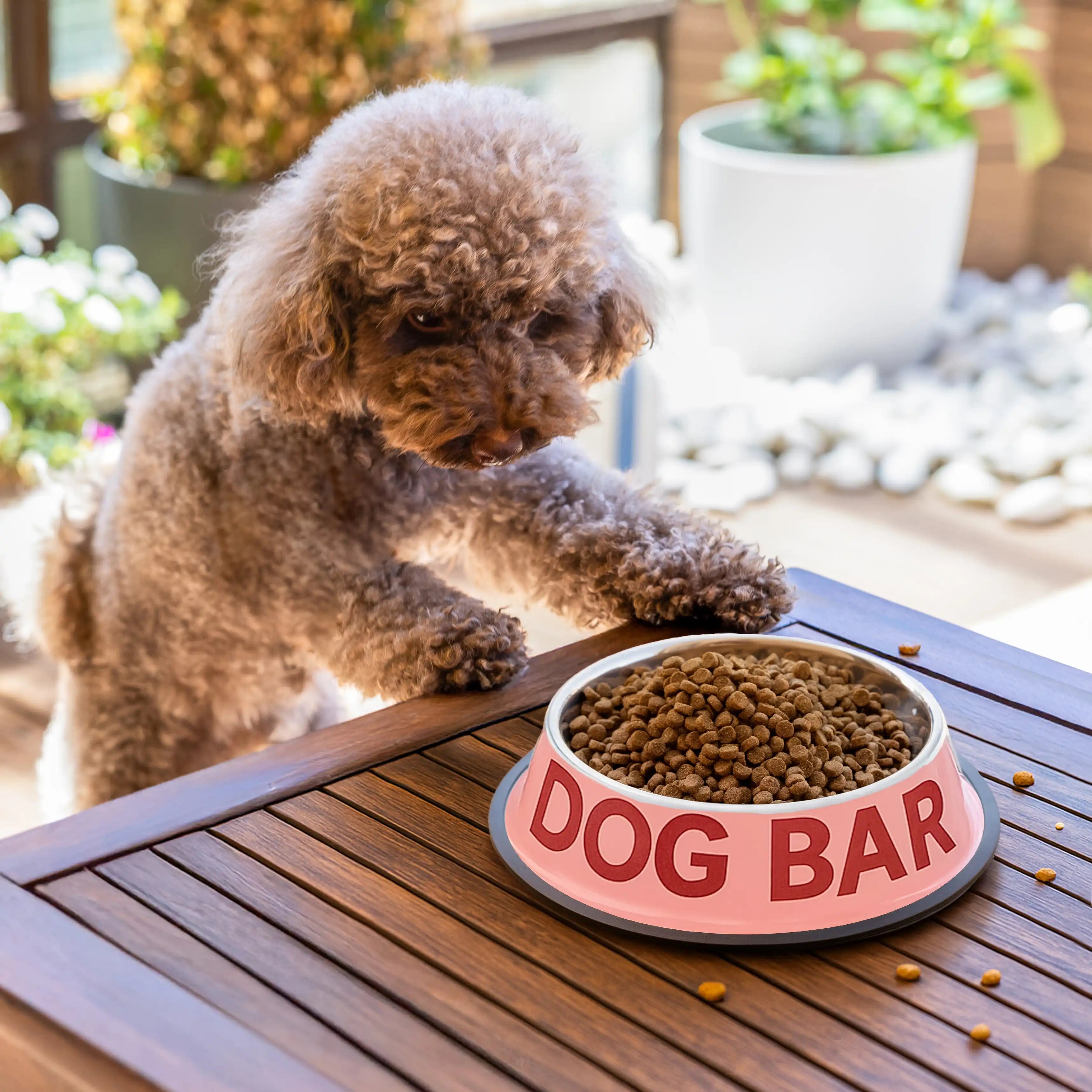 Comedero y bebedero “Dog bar”