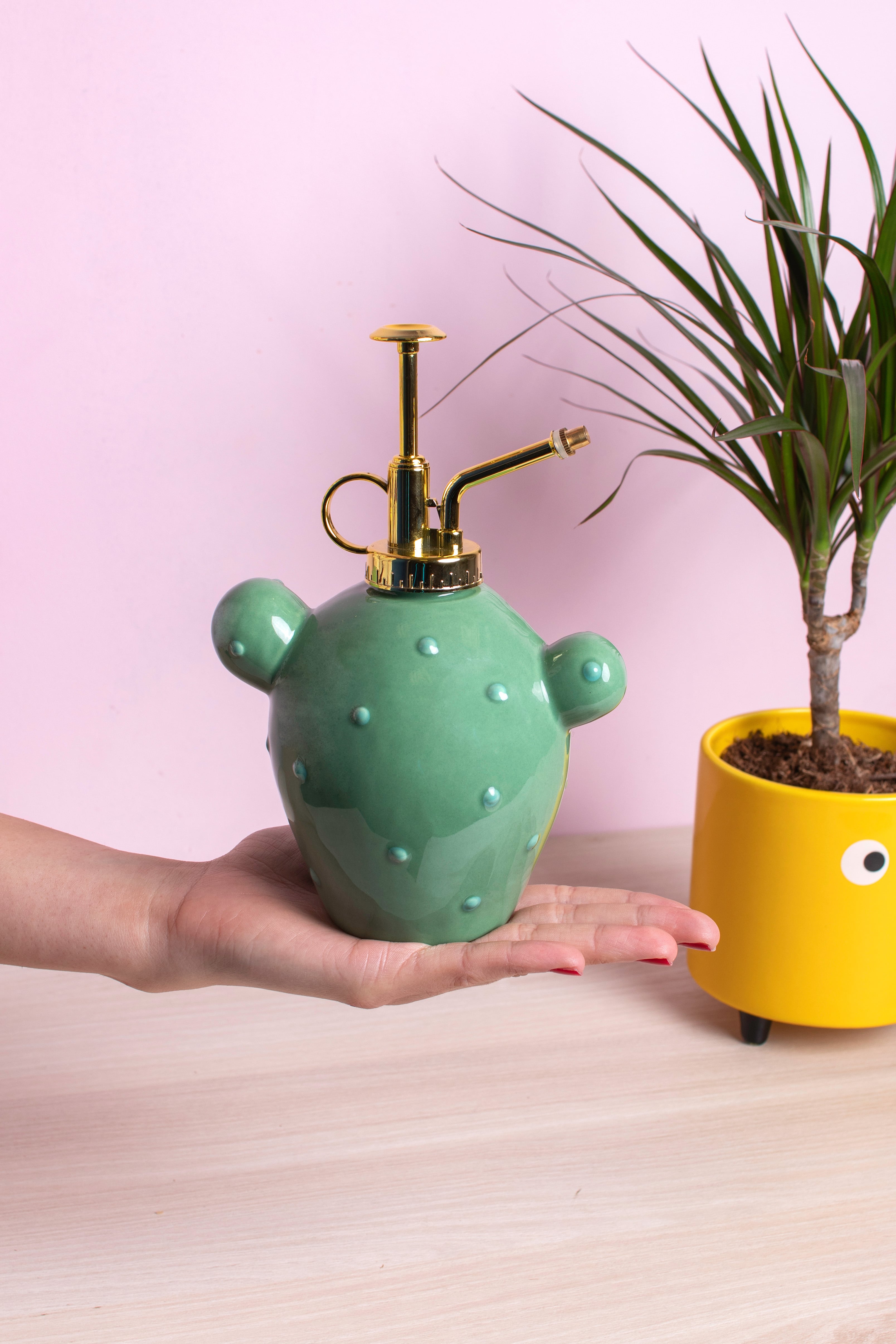 Pulverizador para plantas “cactus”