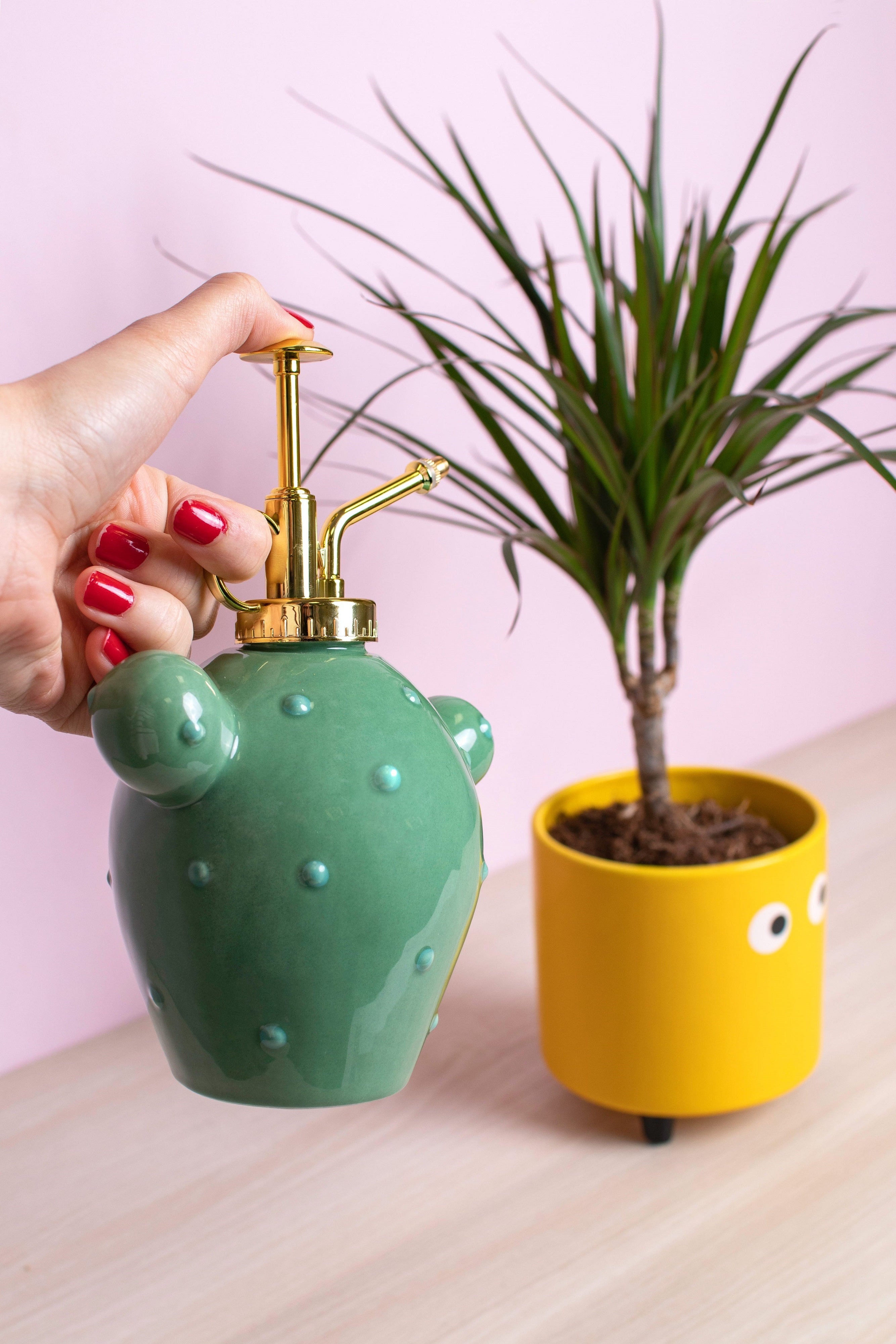 Pulverizador para plantas “cactus”