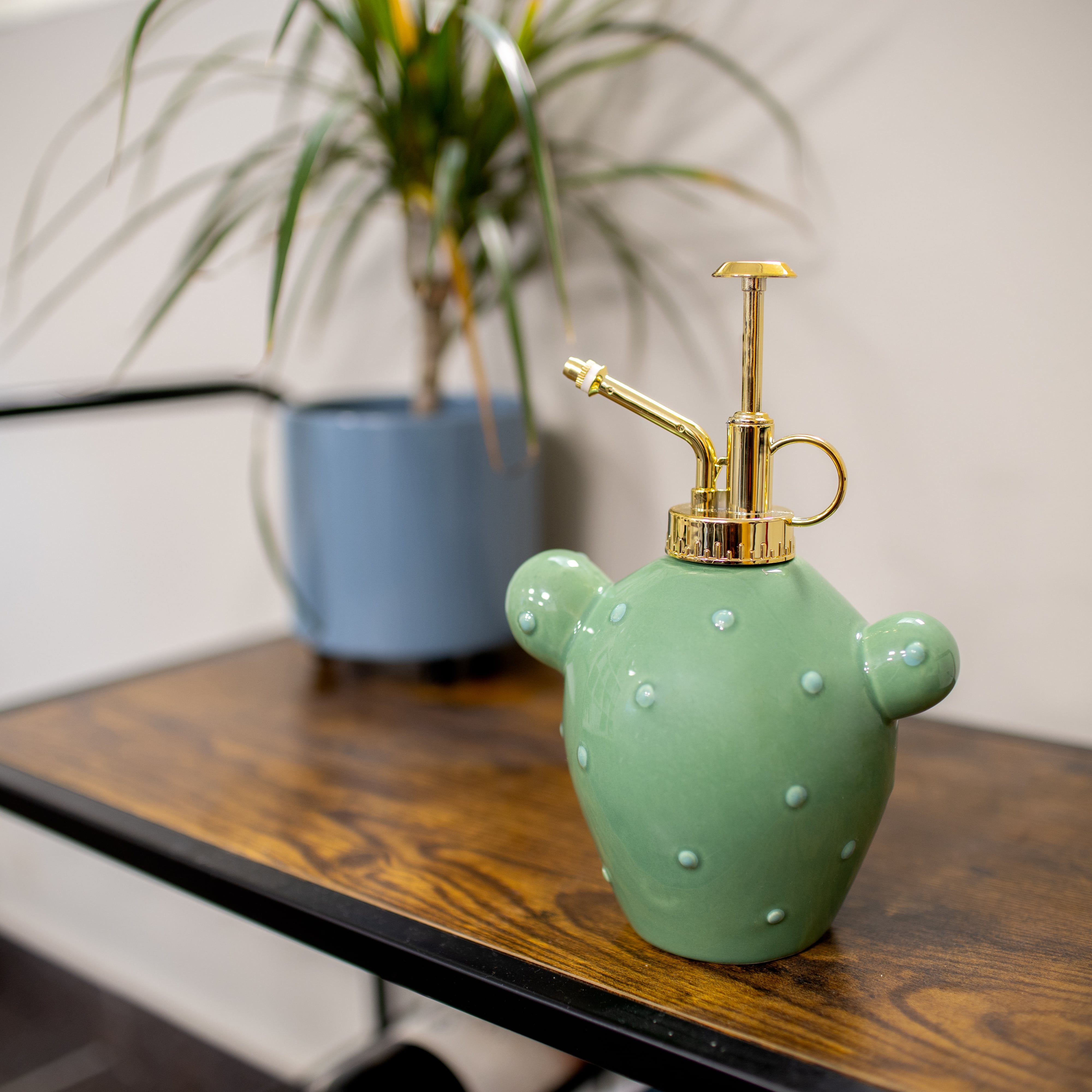 Pulverizador para plantas “cactus”