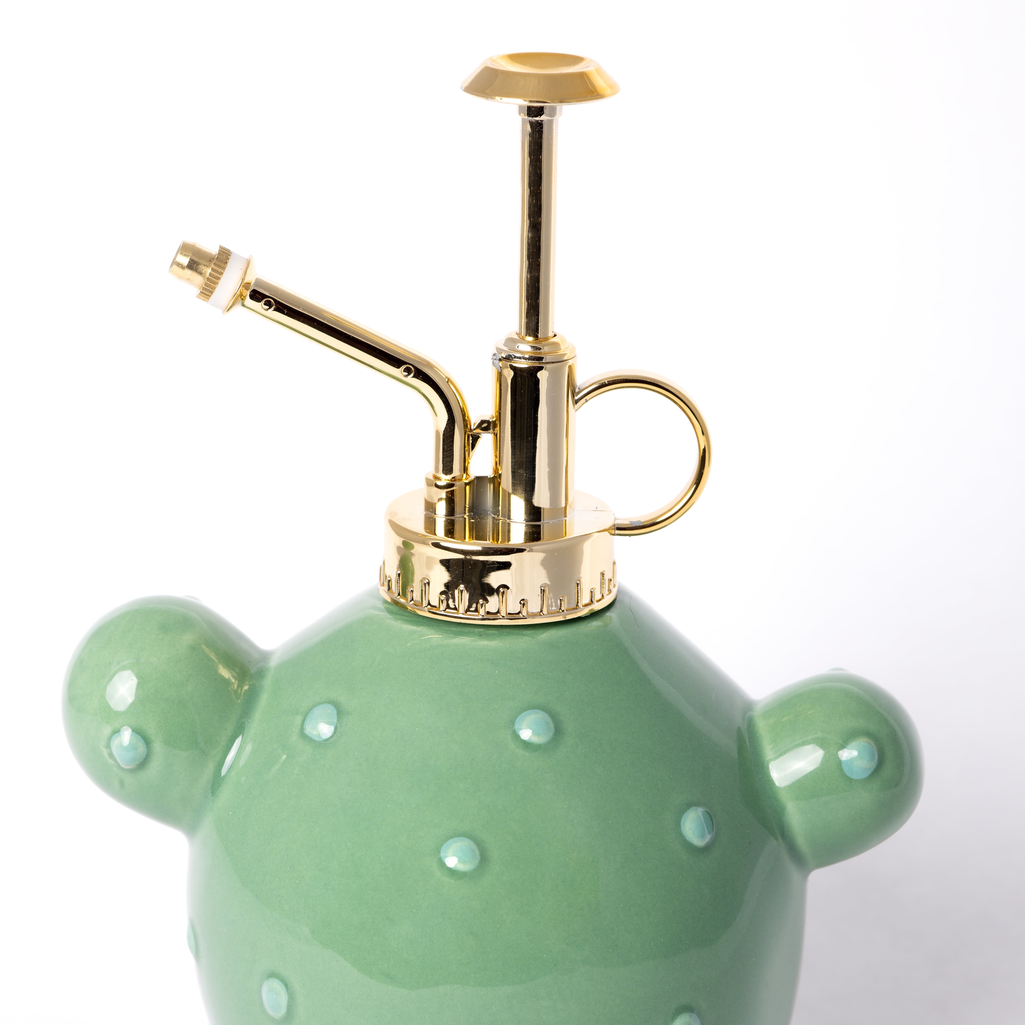 Pulverizador para plantas “cactus”