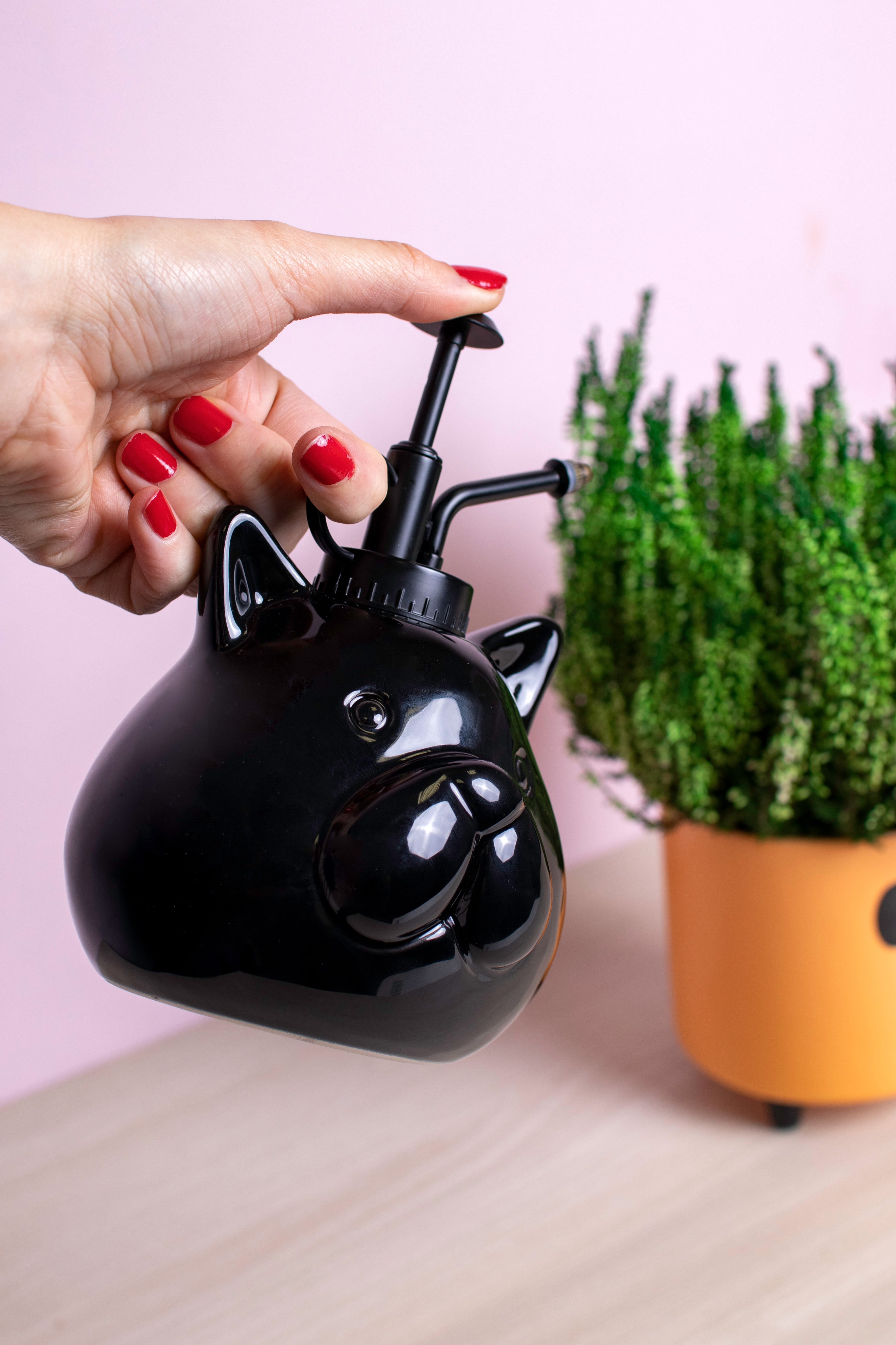 Pulverizador para plantas “gato” negro