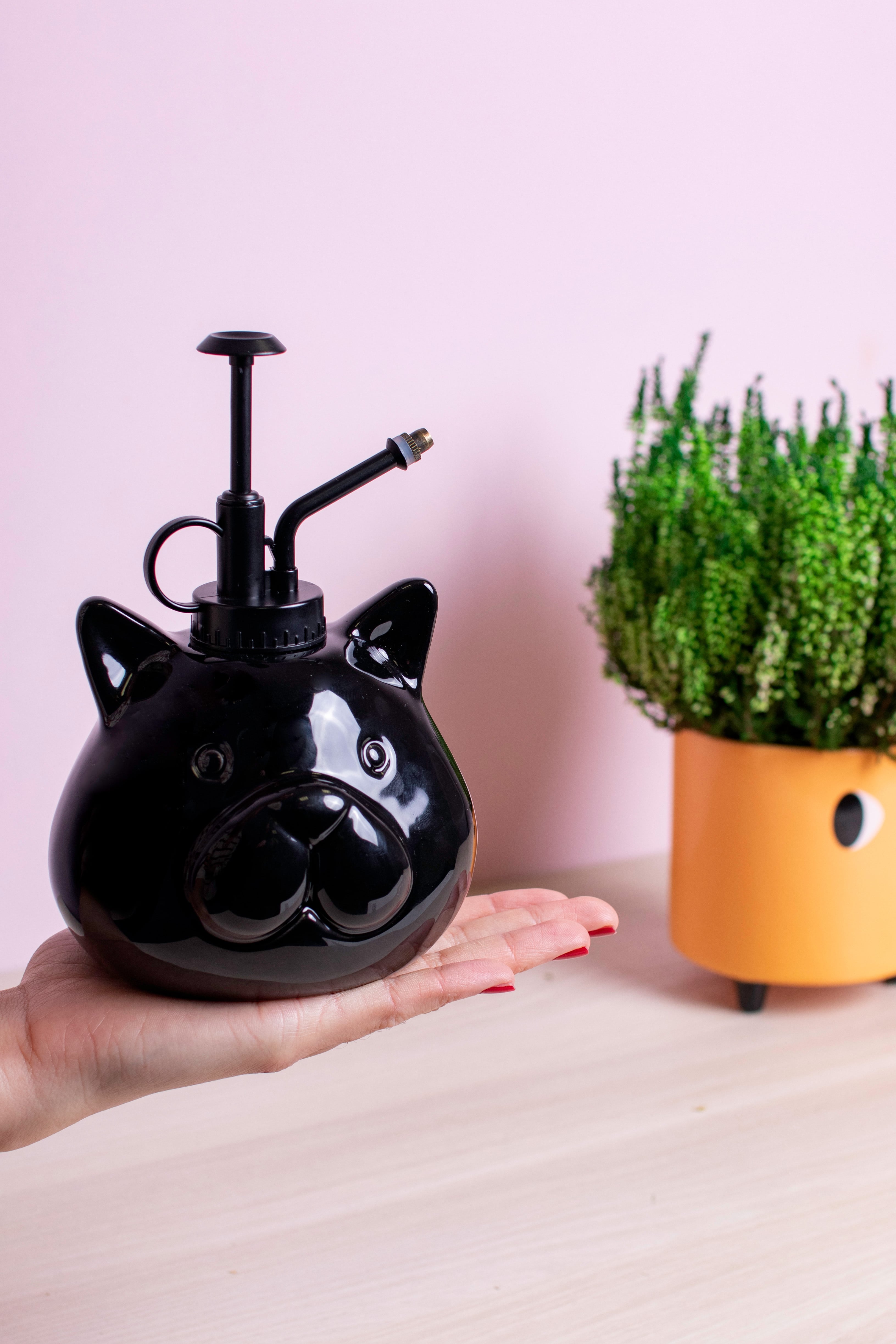 Pulverizador para plantas “gato” negro