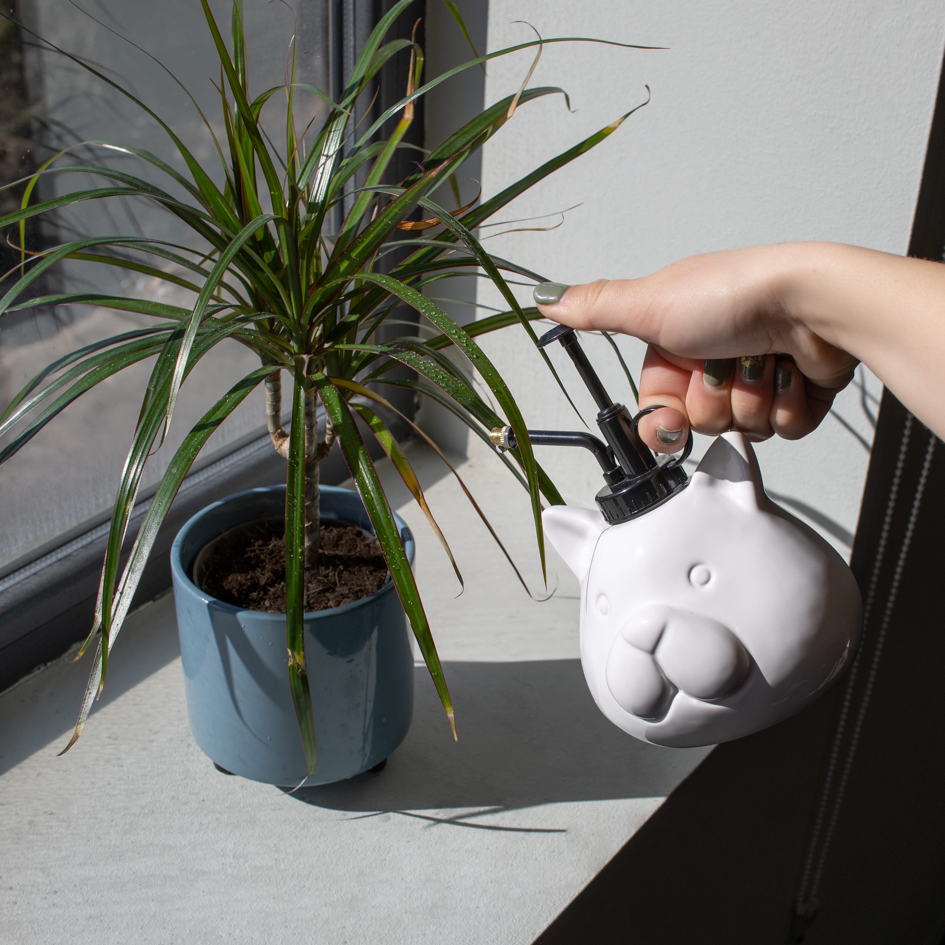 Pulverizador para plantas “gato” blanco