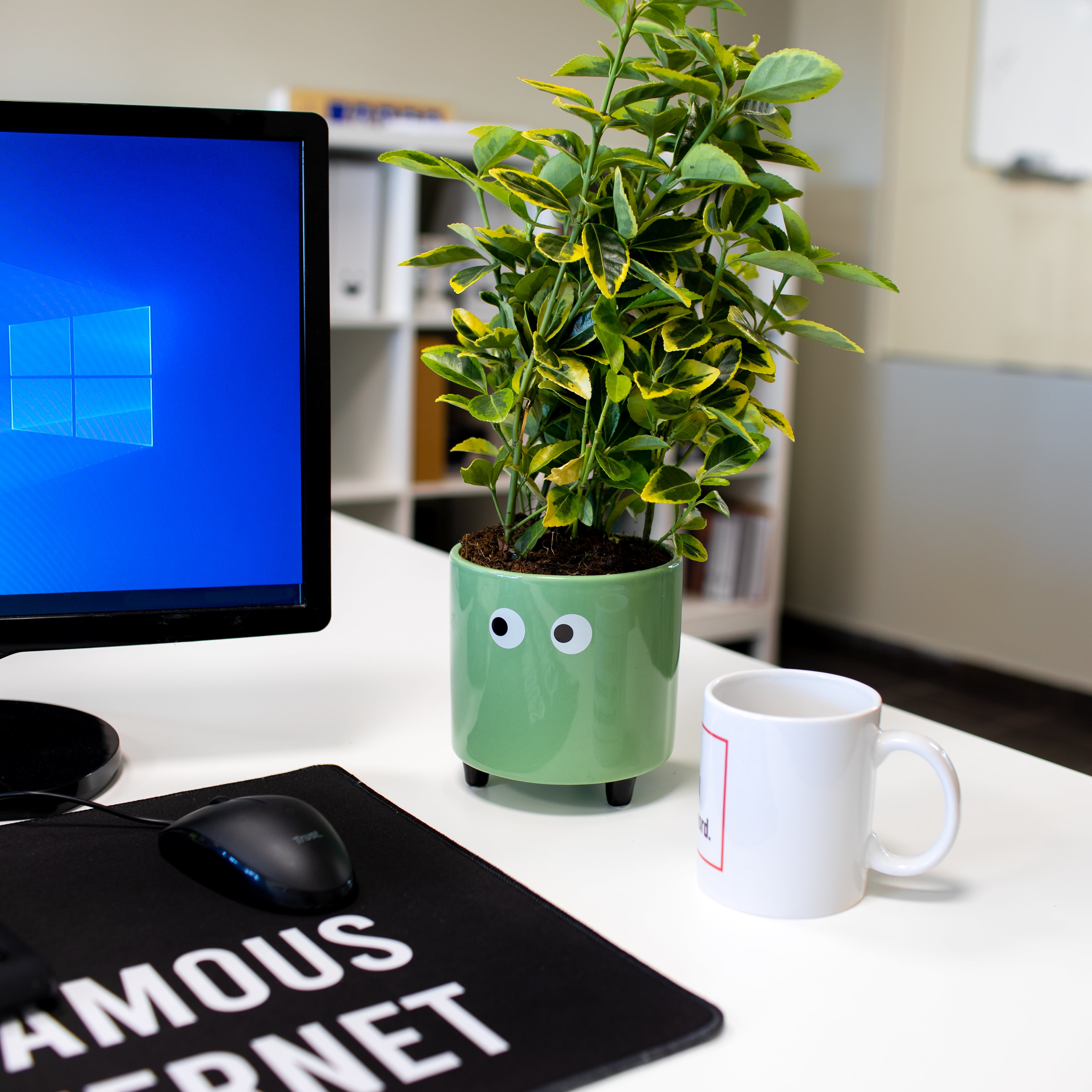 Macetero con ojos verde