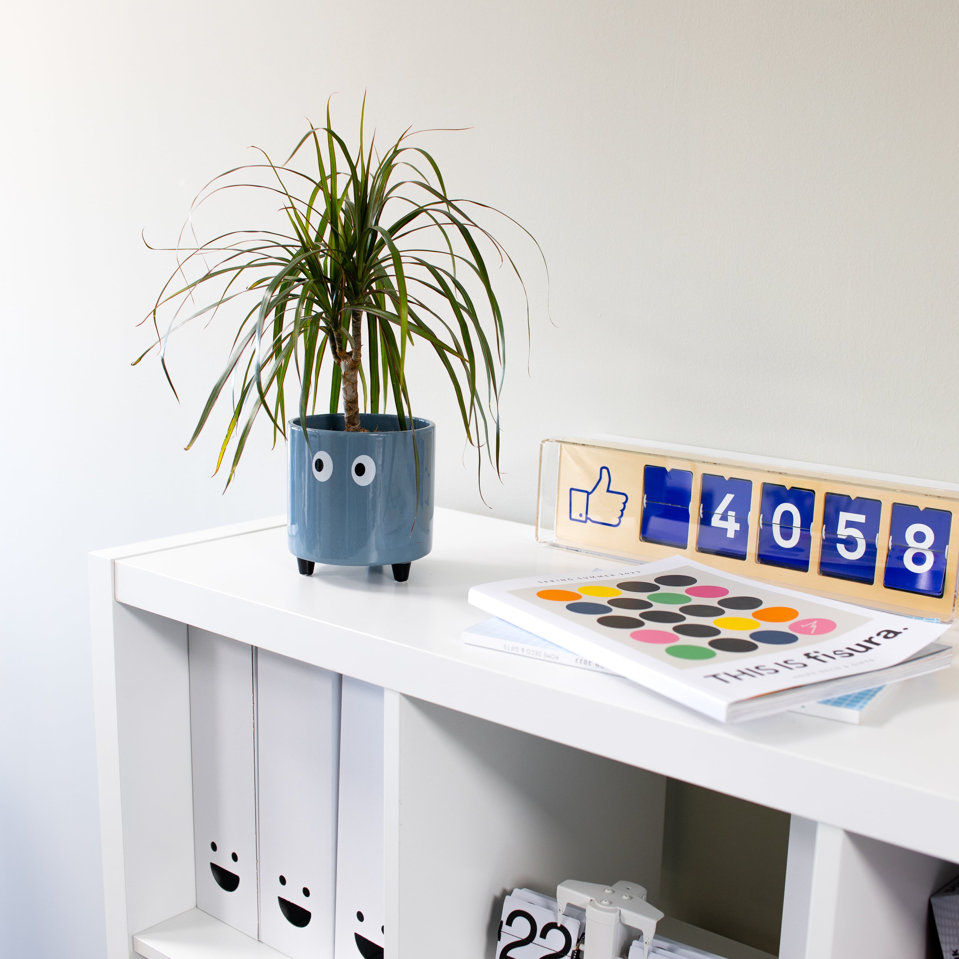 Macetero con ojos azul