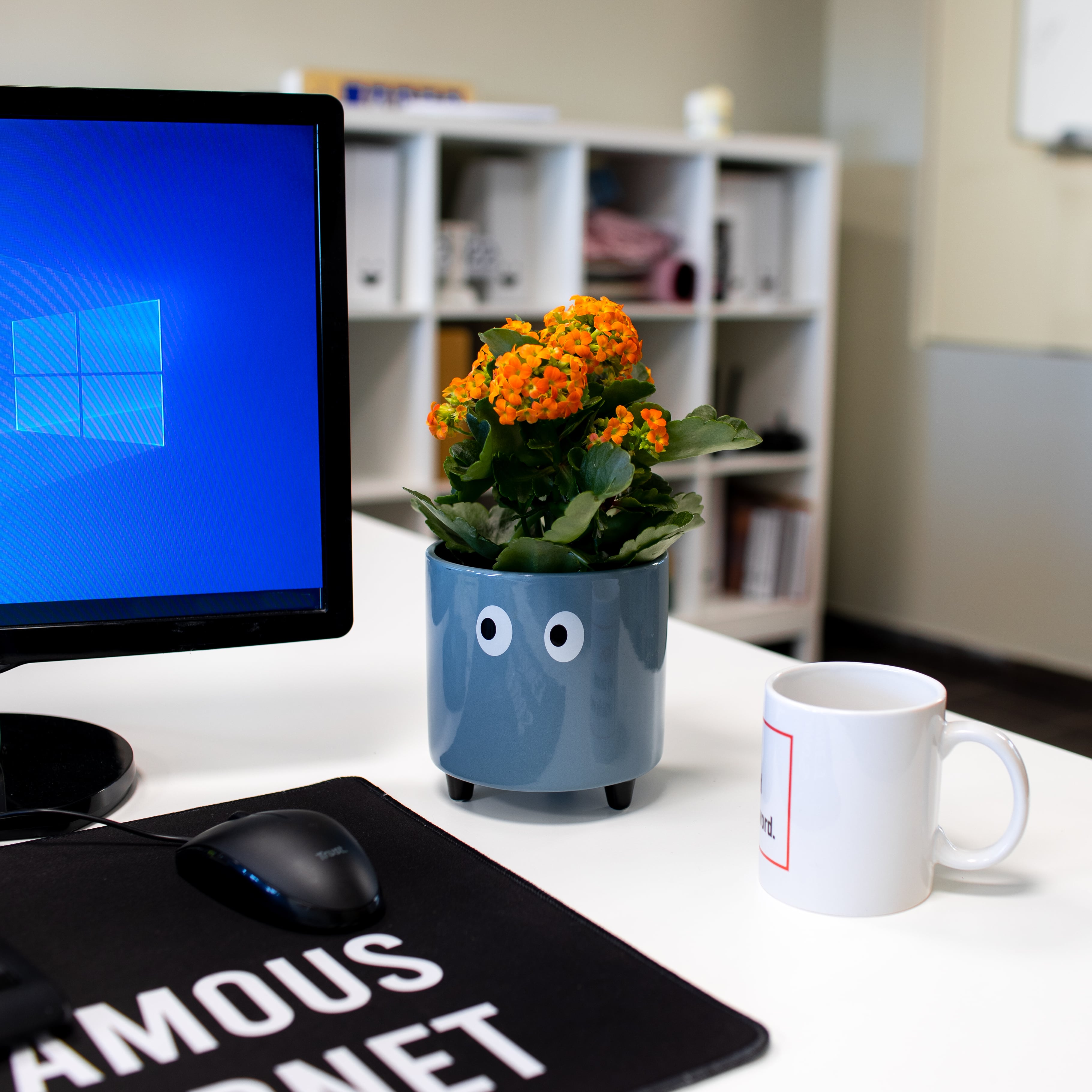 Macetero con ojos azul