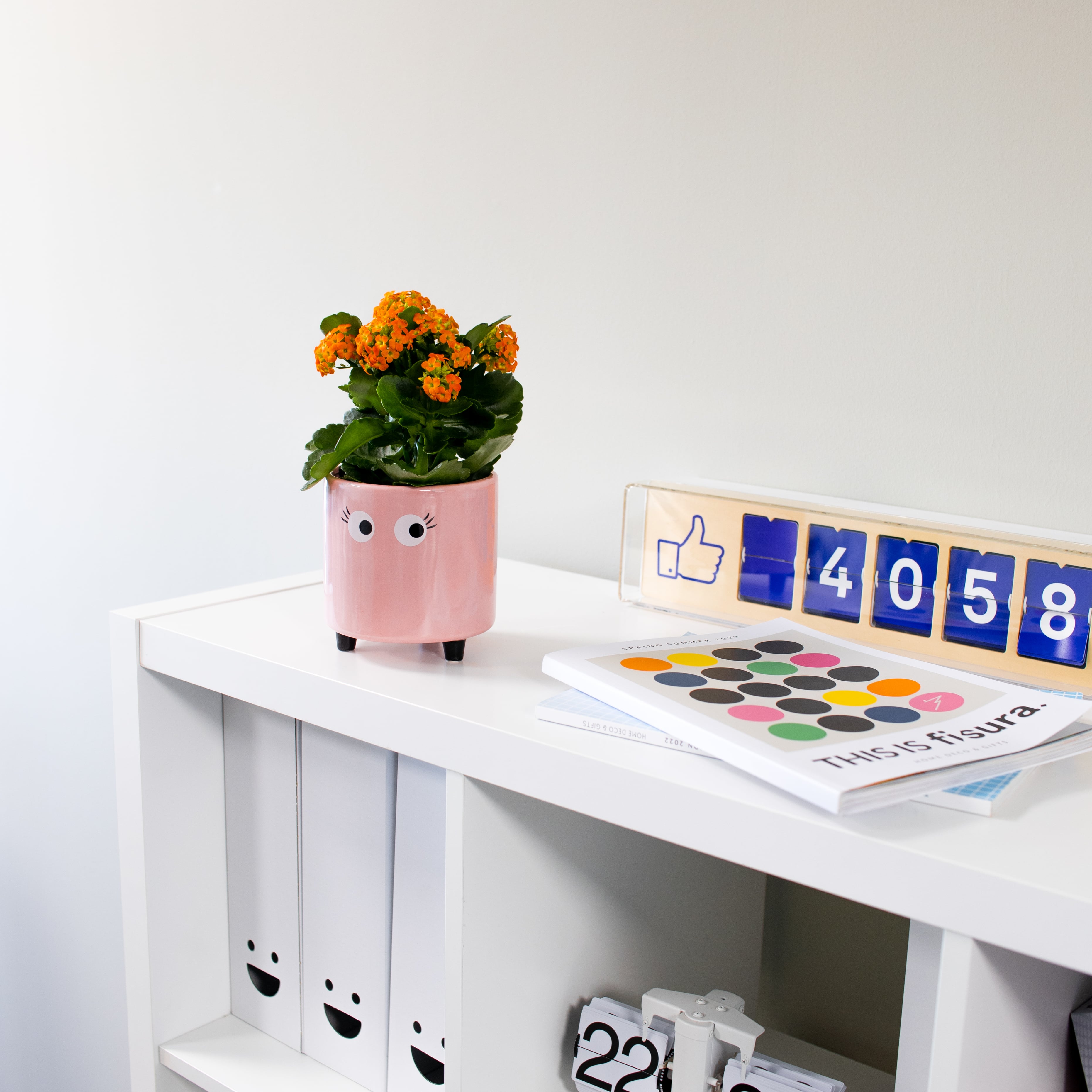 Macetero con ojos rosa