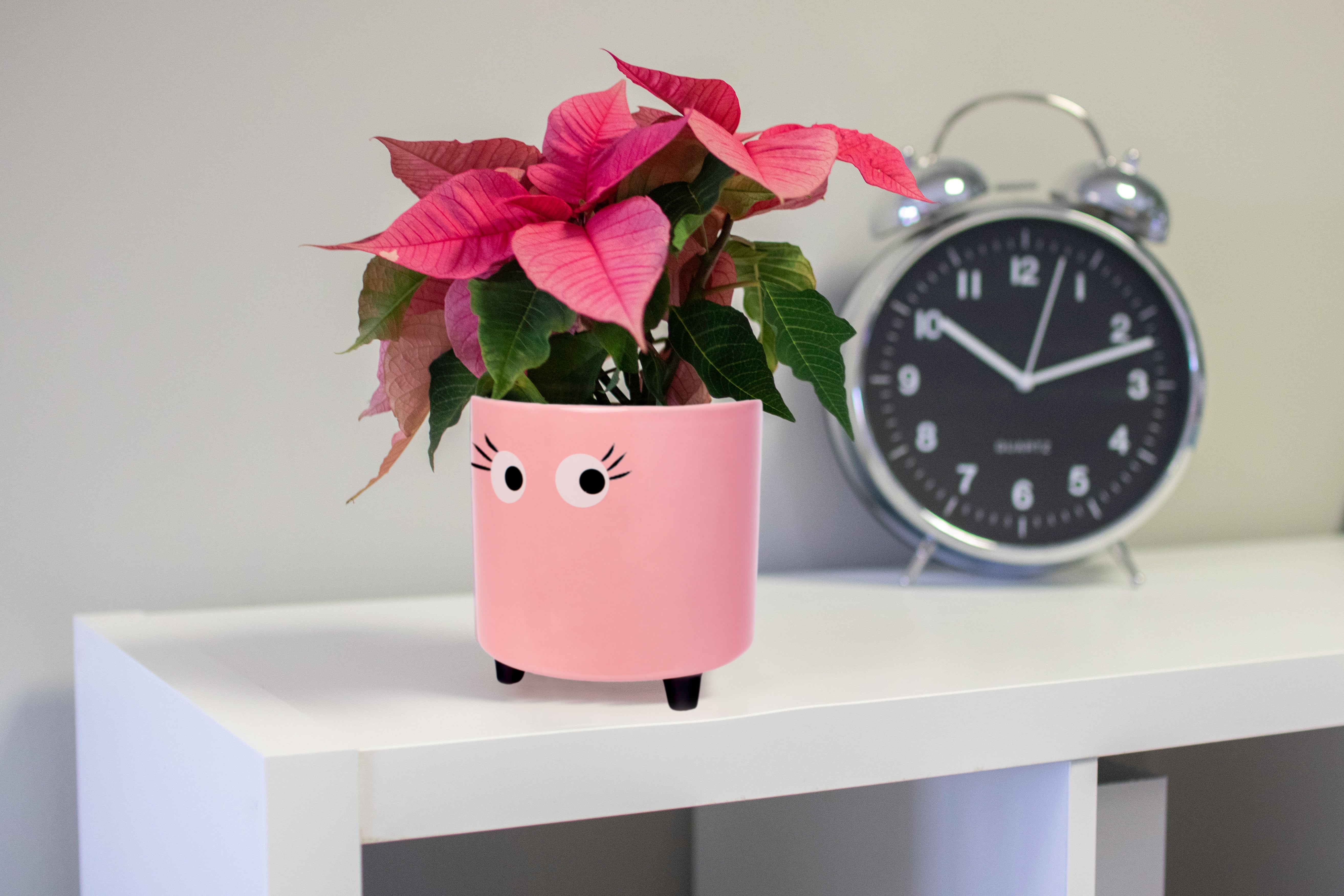 Macetero con ojos rosa