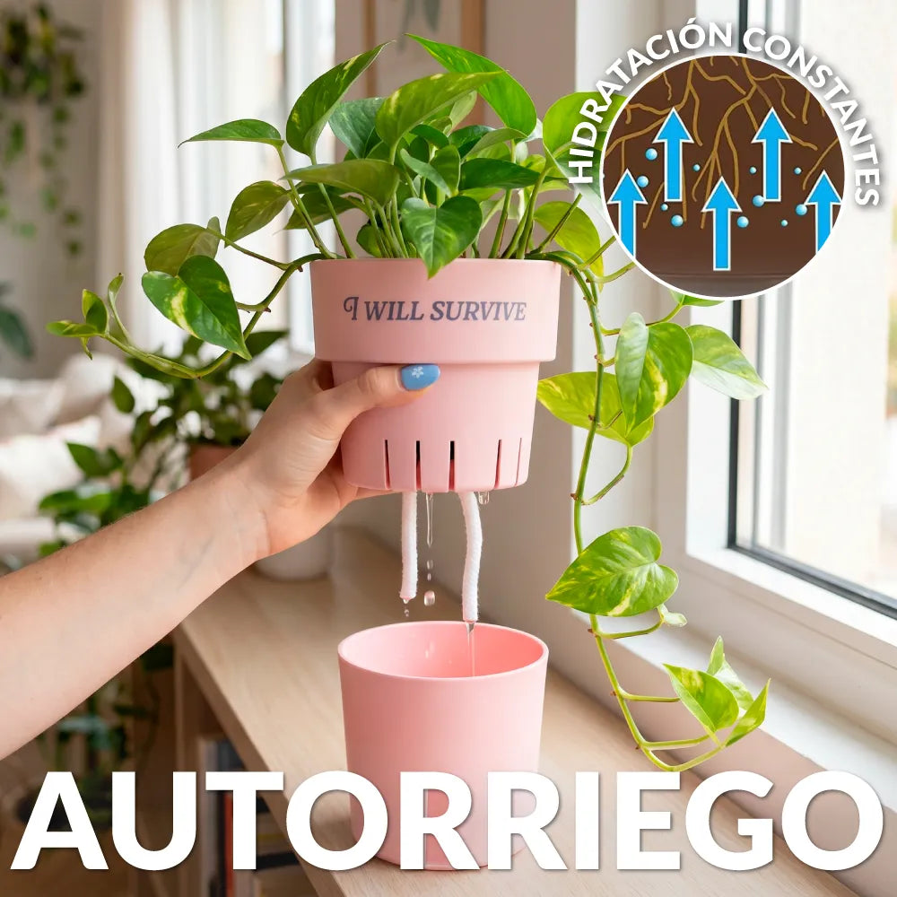 Macetero autorriego “I will survive”