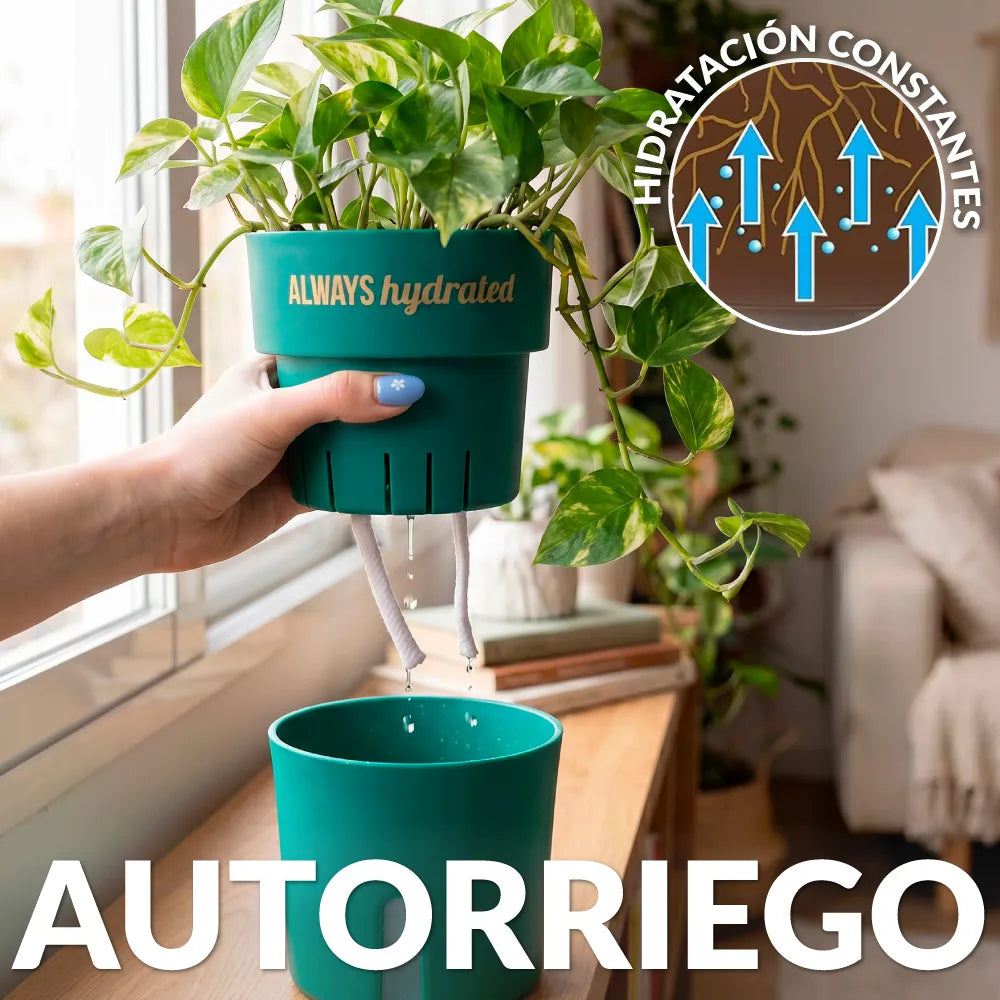 Macetero autorriego “Always hydrated”