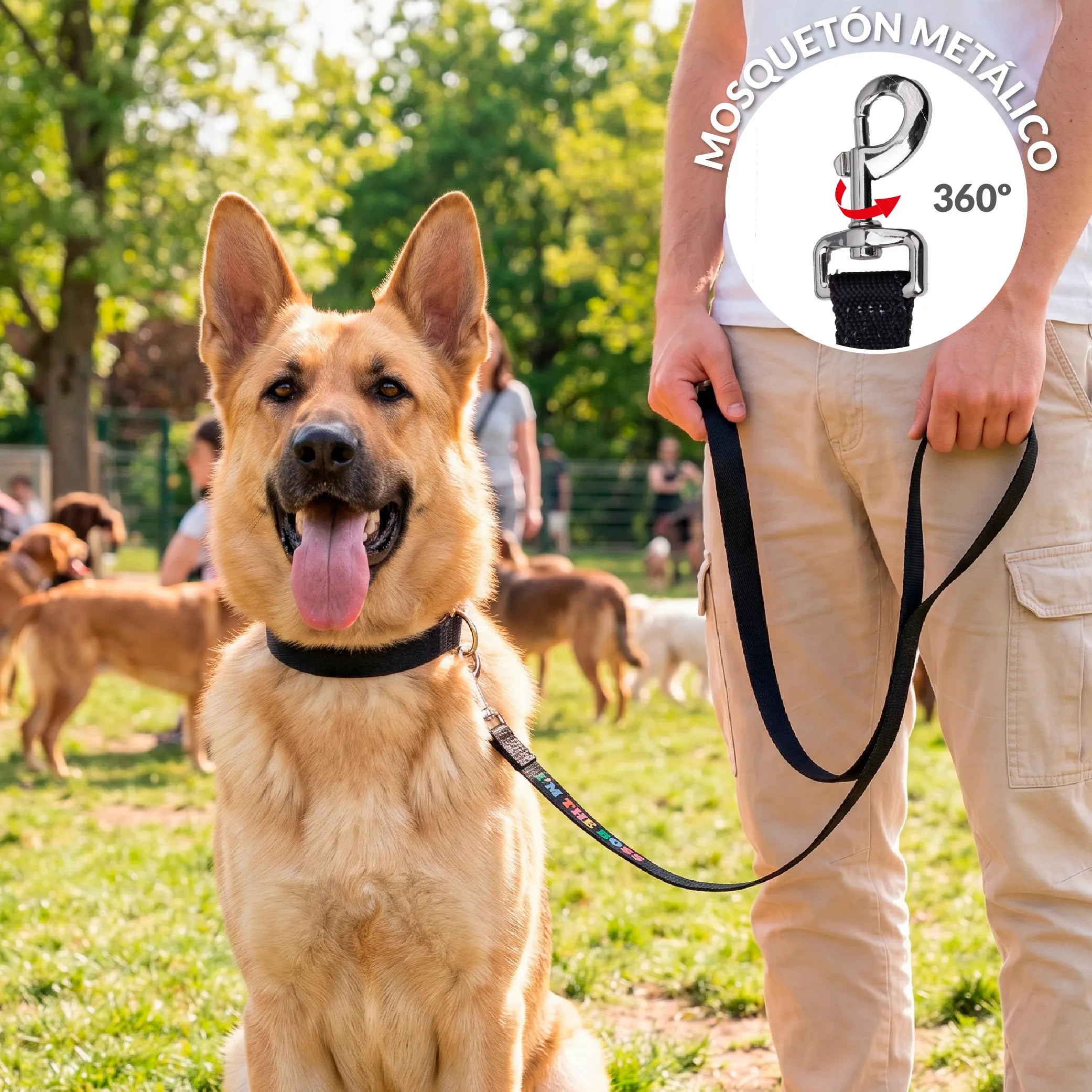 Correa "I’m the boss"