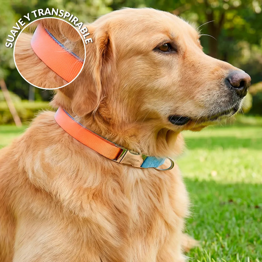 Collar “Degradado” L