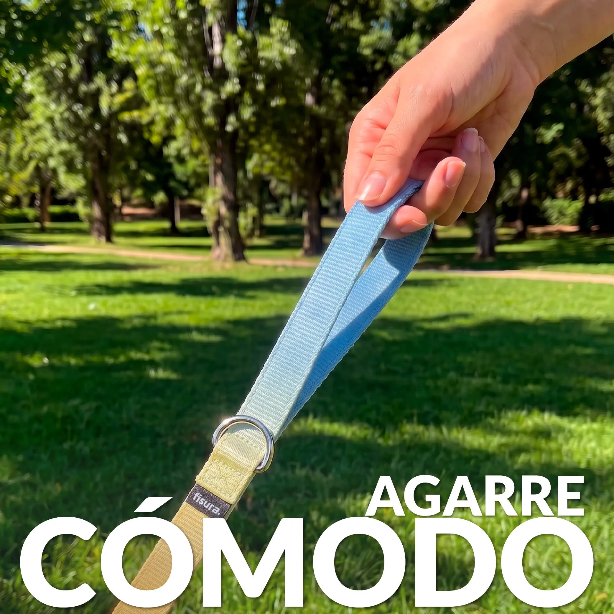 Correa "Degradado"