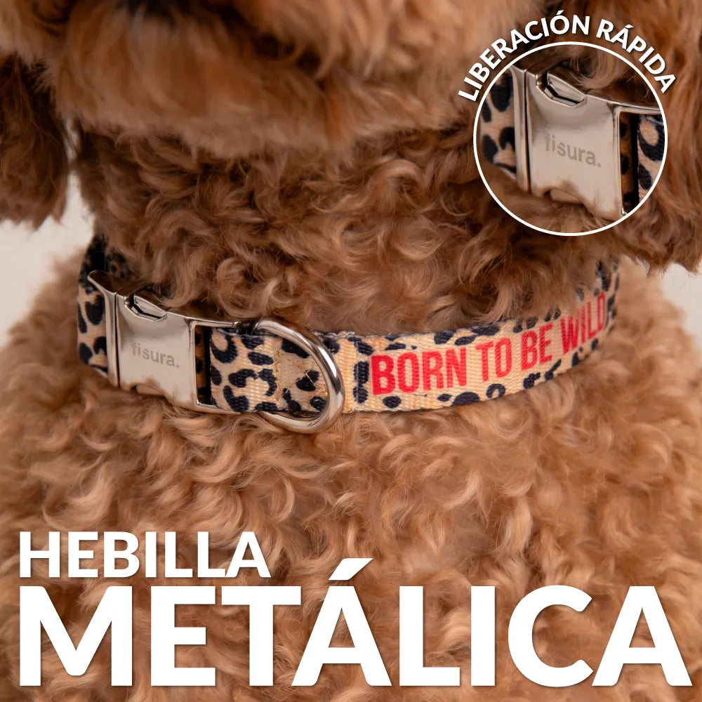 Collar “Born to be wild” S-M