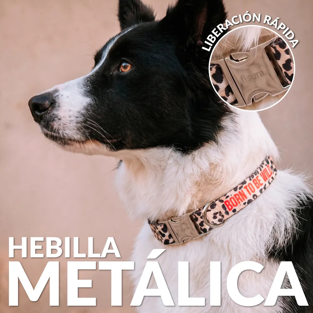 Collier “Born to be wild” L