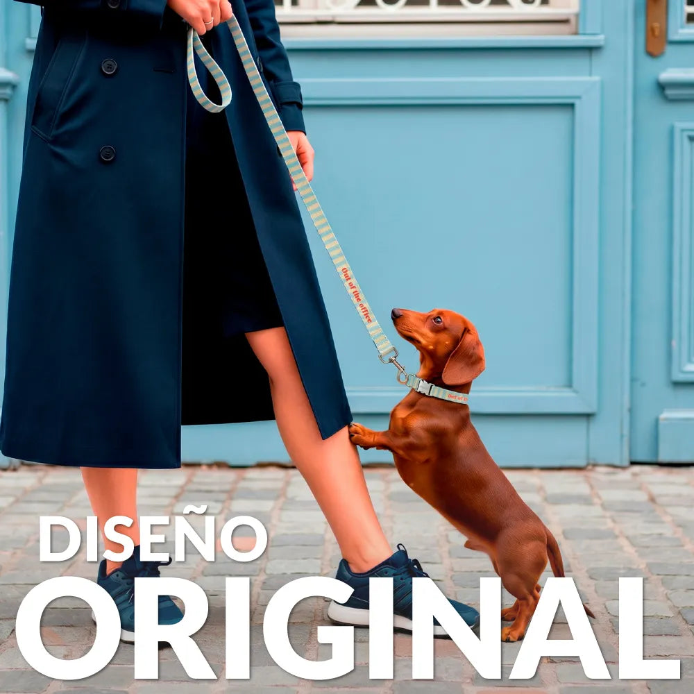 Pack collier et laisse "Out of the office" S-M