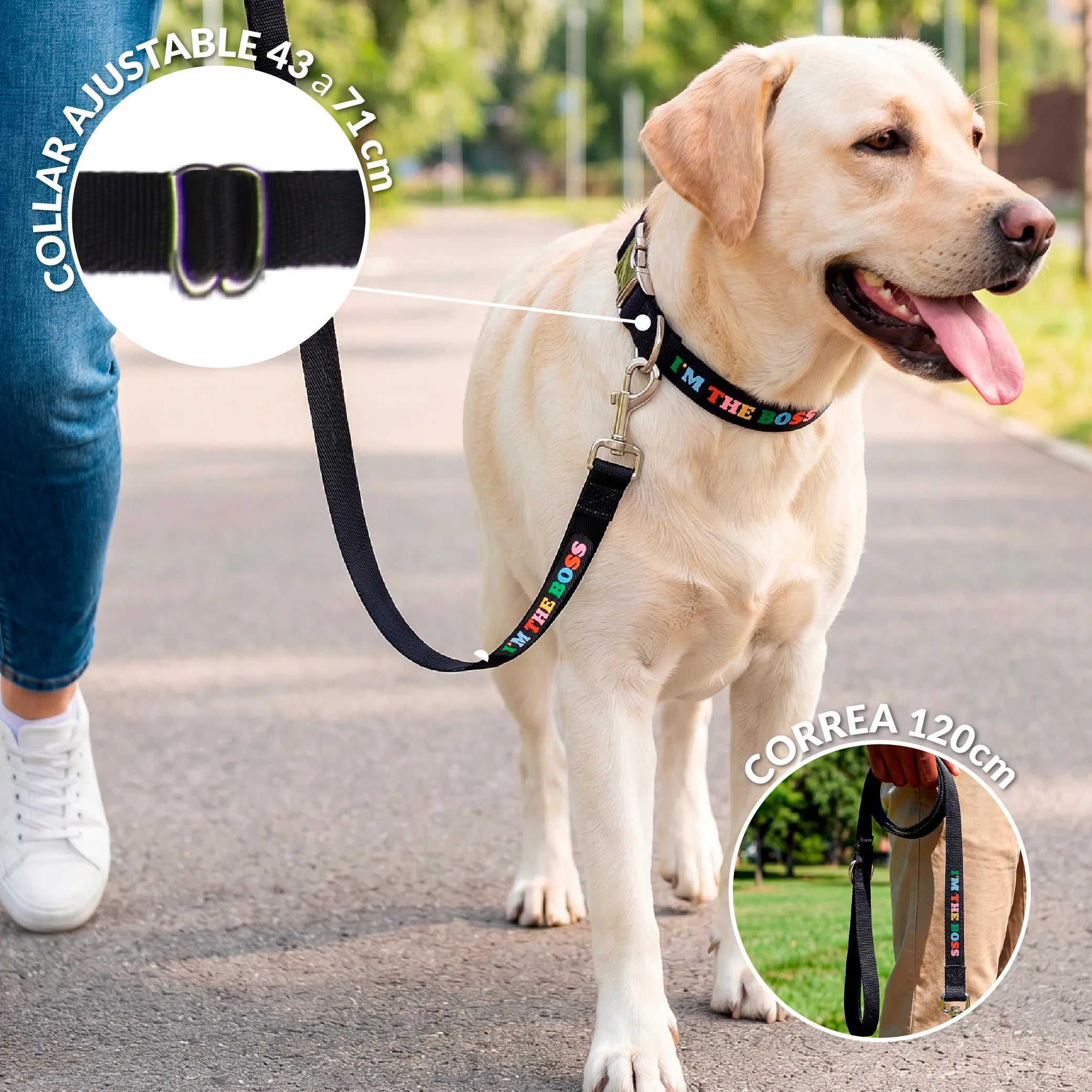 Pack de collar y correa "I’m the boss" L