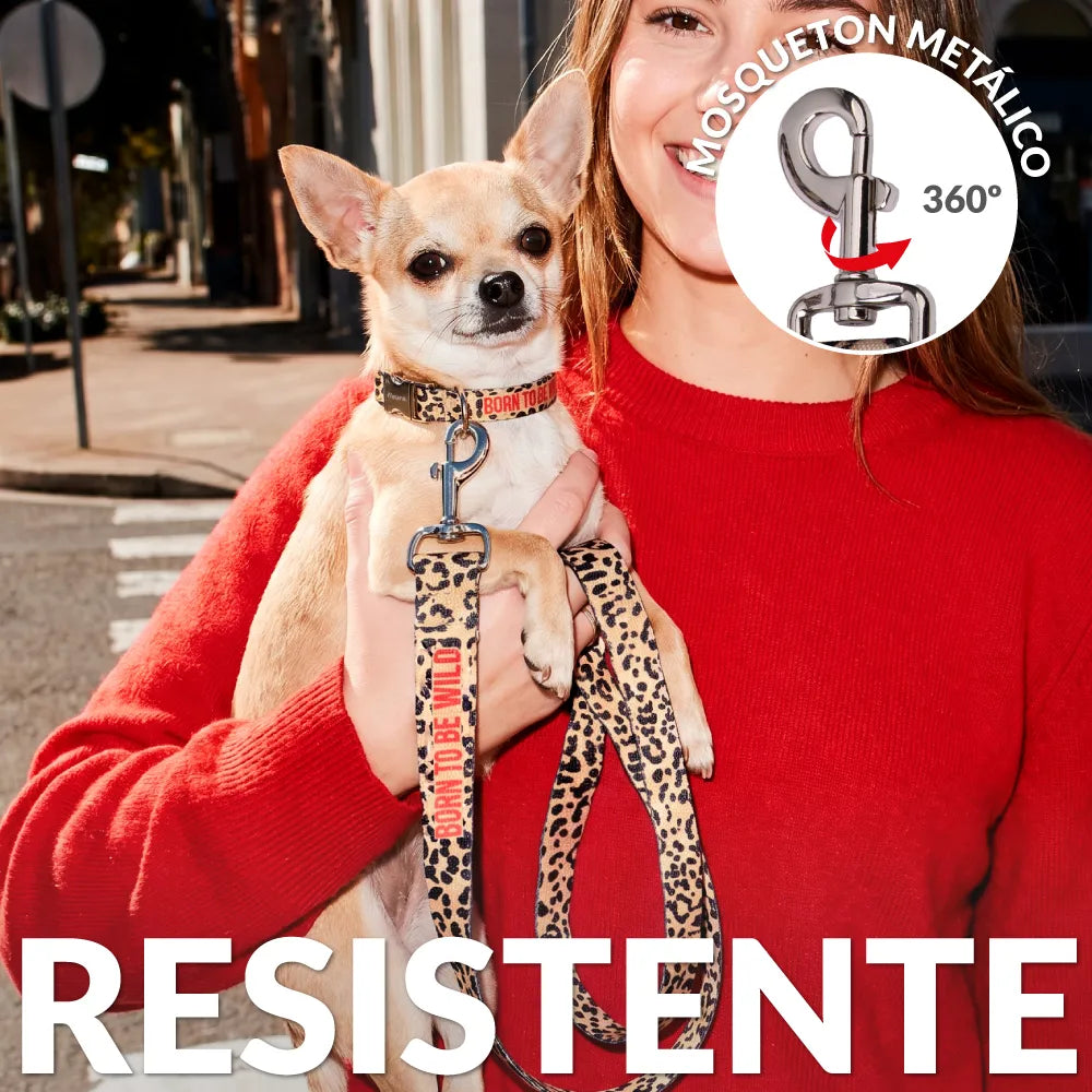 Pack de collar y correa "Born to be wild" S