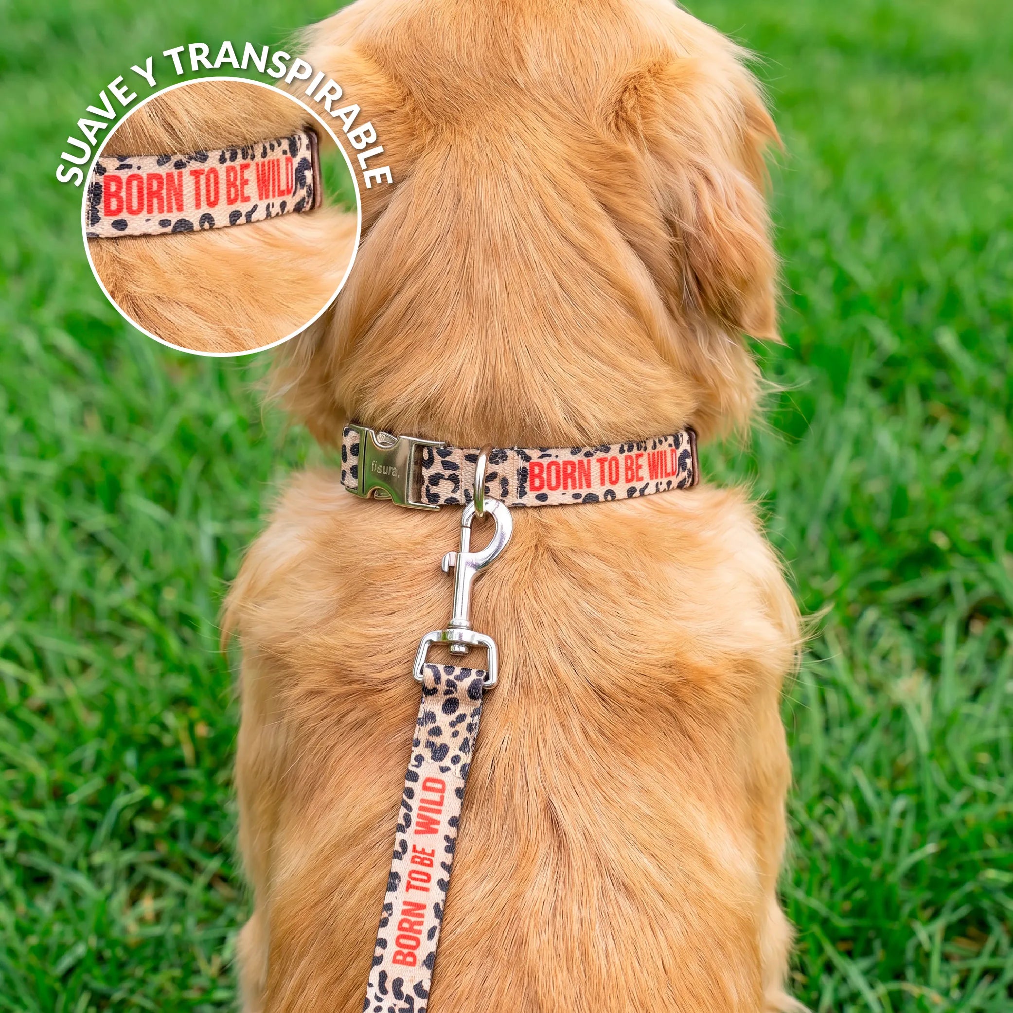 Pack de collar y correa "Born to be wild" L
