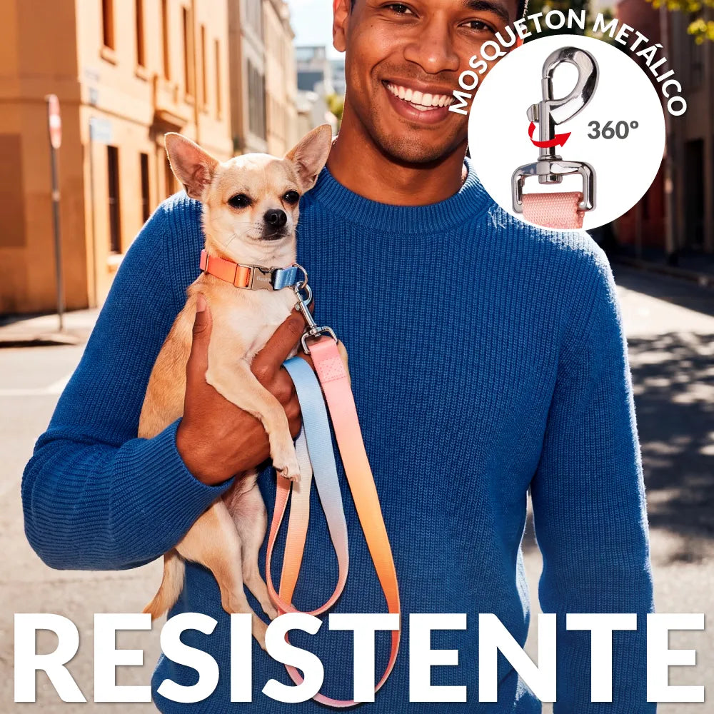 Pack de collar y correa "Degradado" S-M