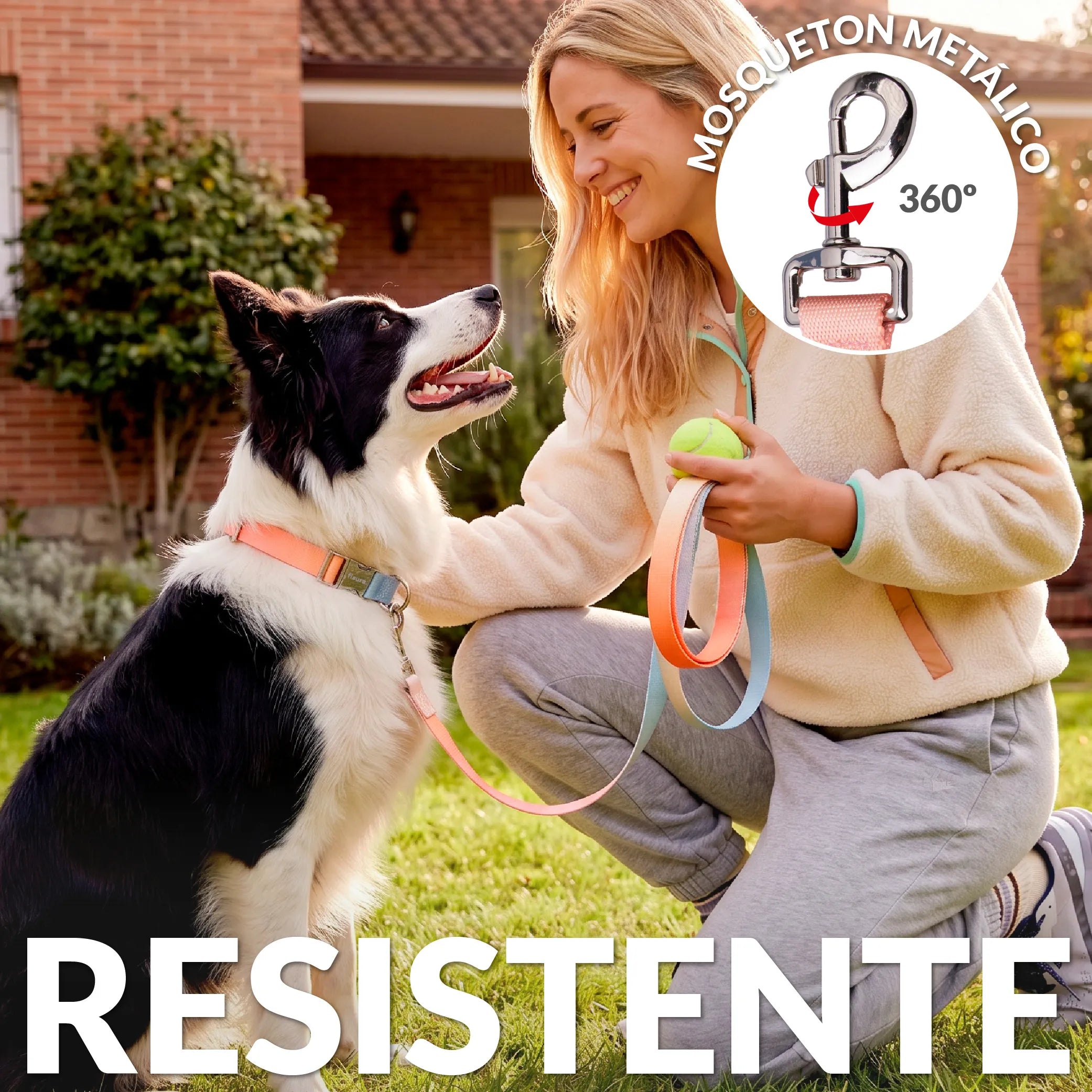 Pack collier et laisse effet dégradé L