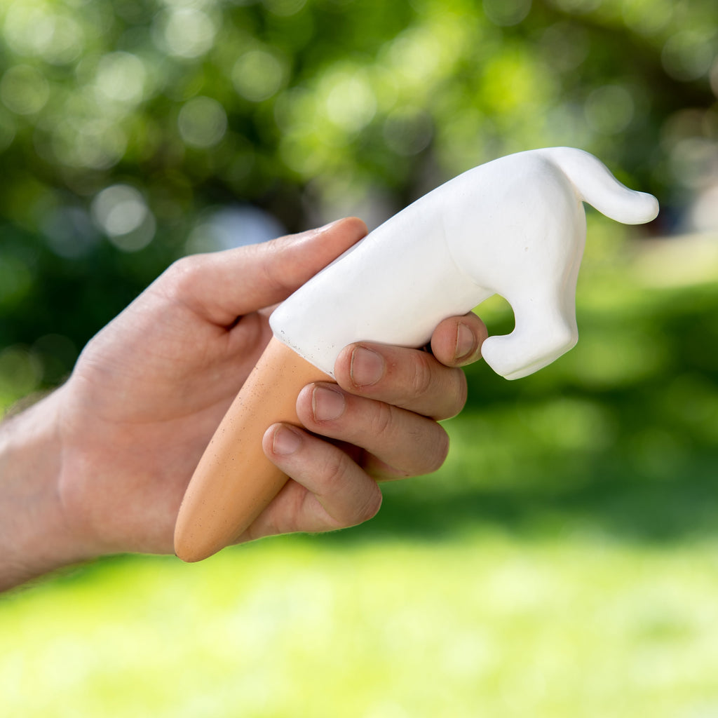 Autorriego perro blanco