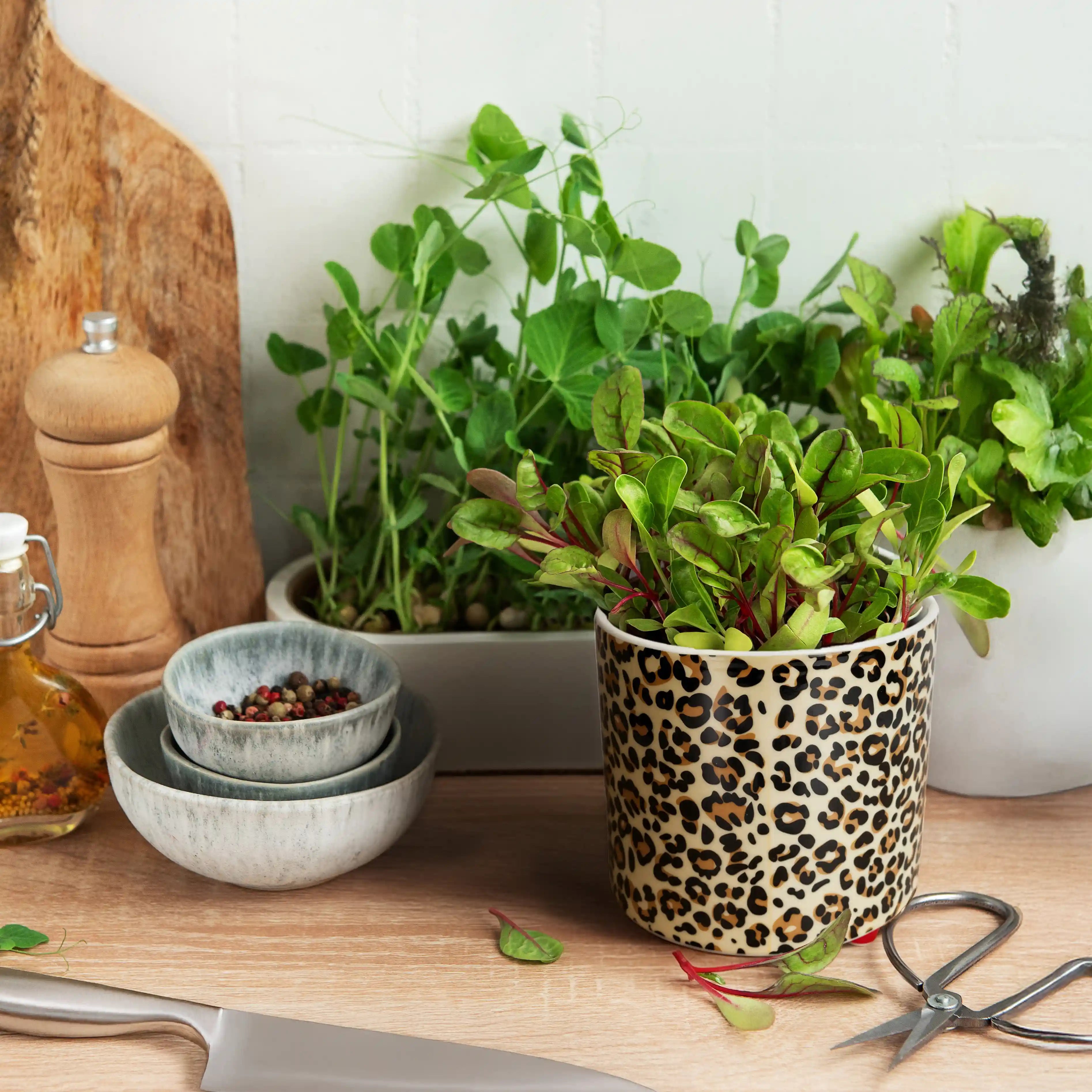 Macetero “Leopardo”