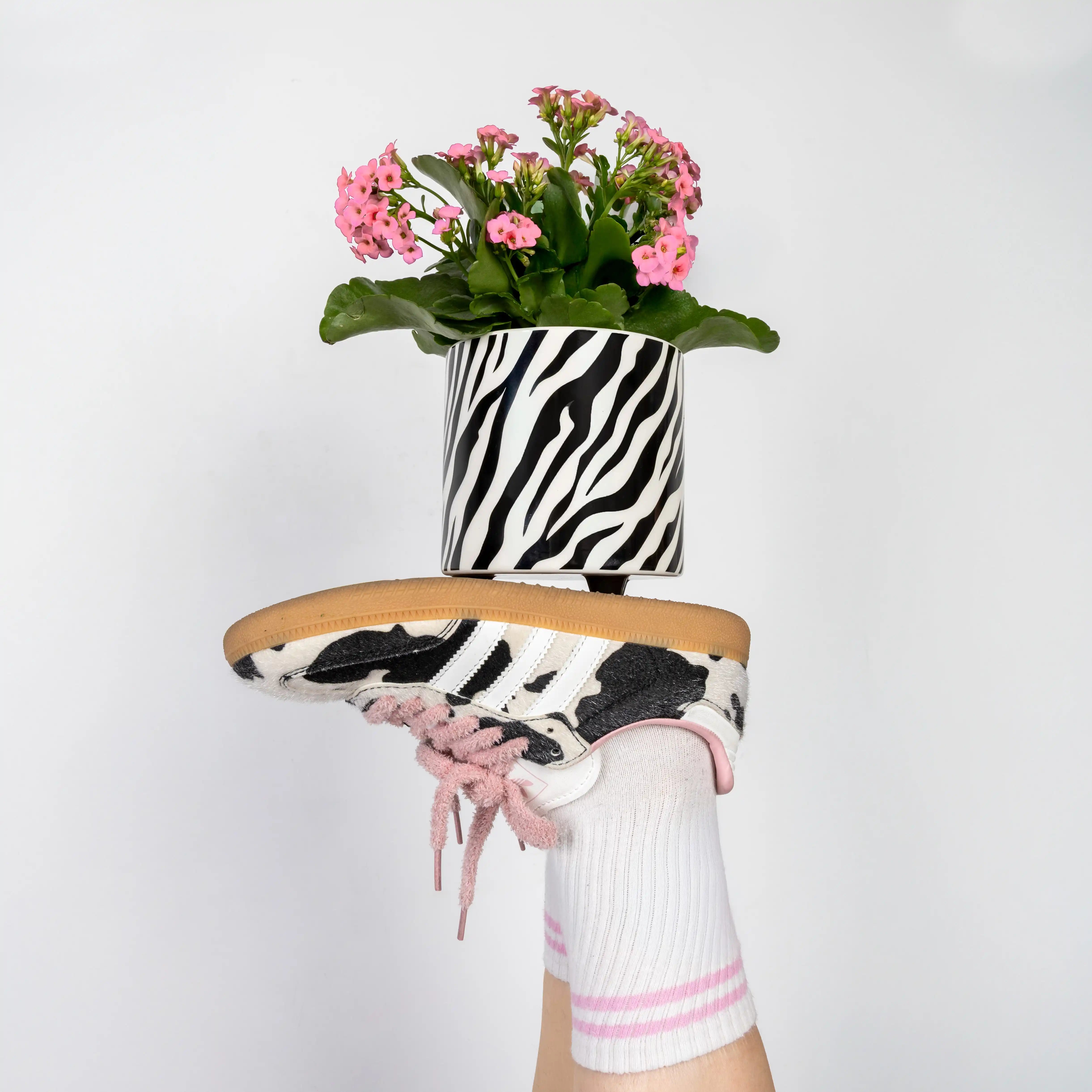 Macetero “Cebra”