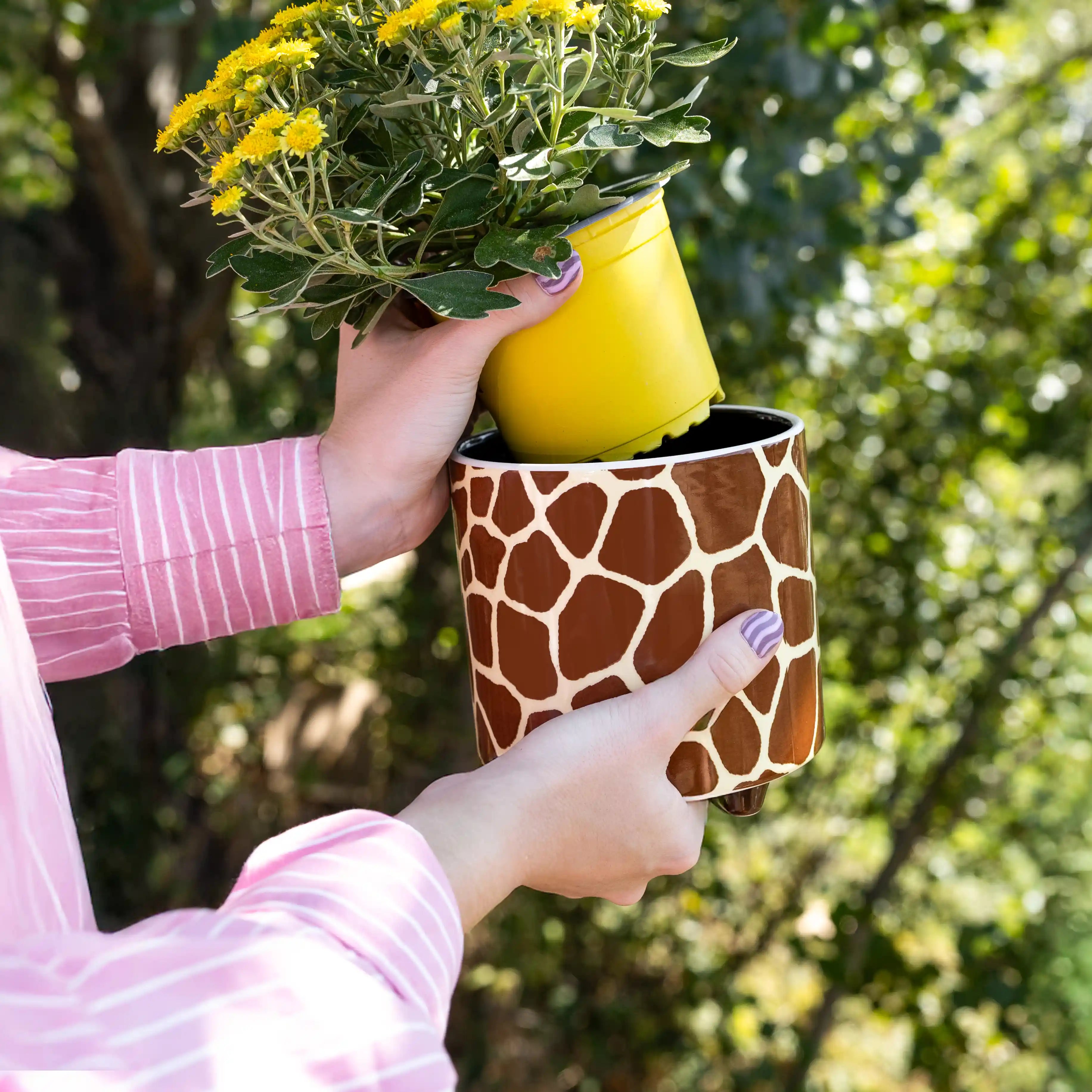 Macetero “Jirafa”