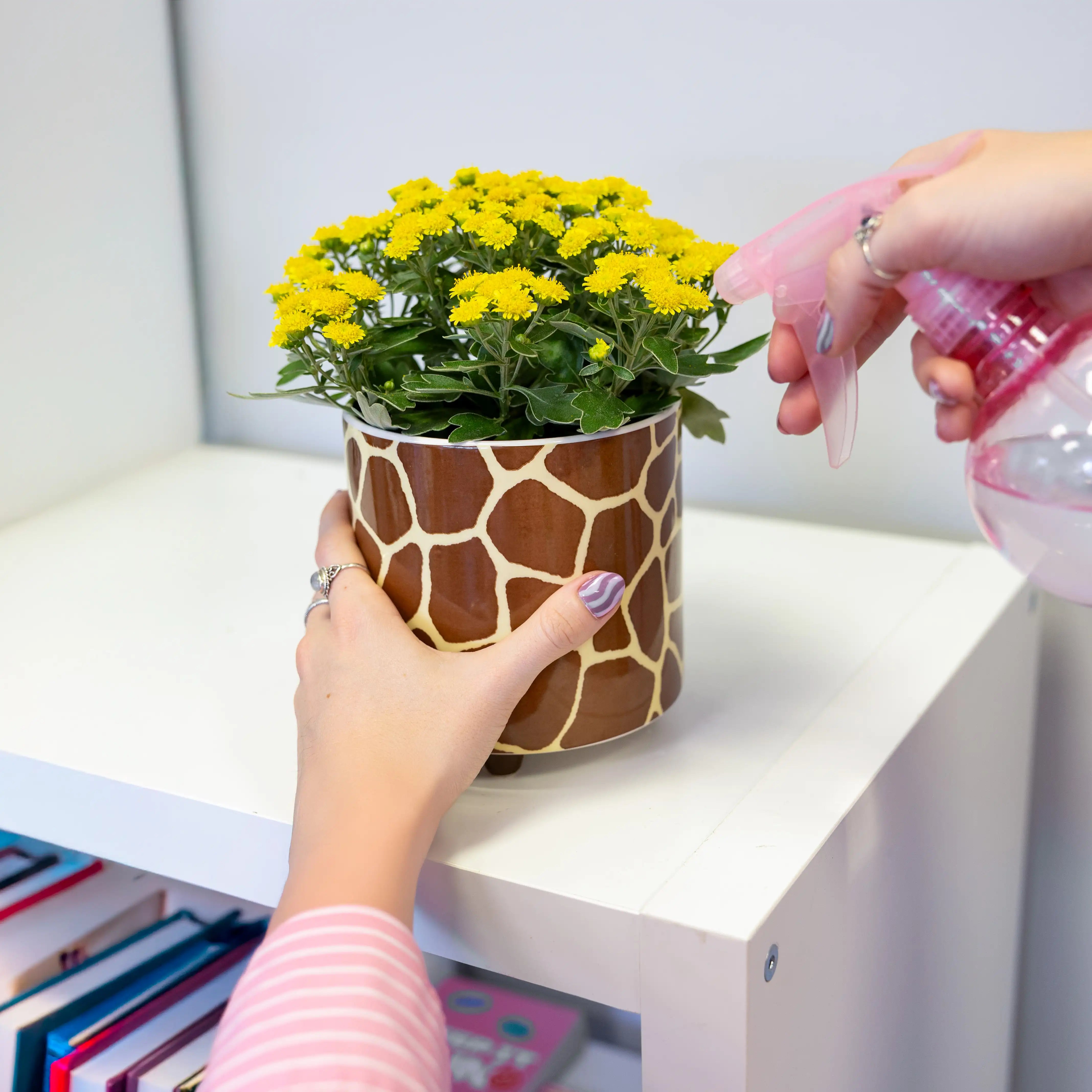 Macetero “Jirafa”