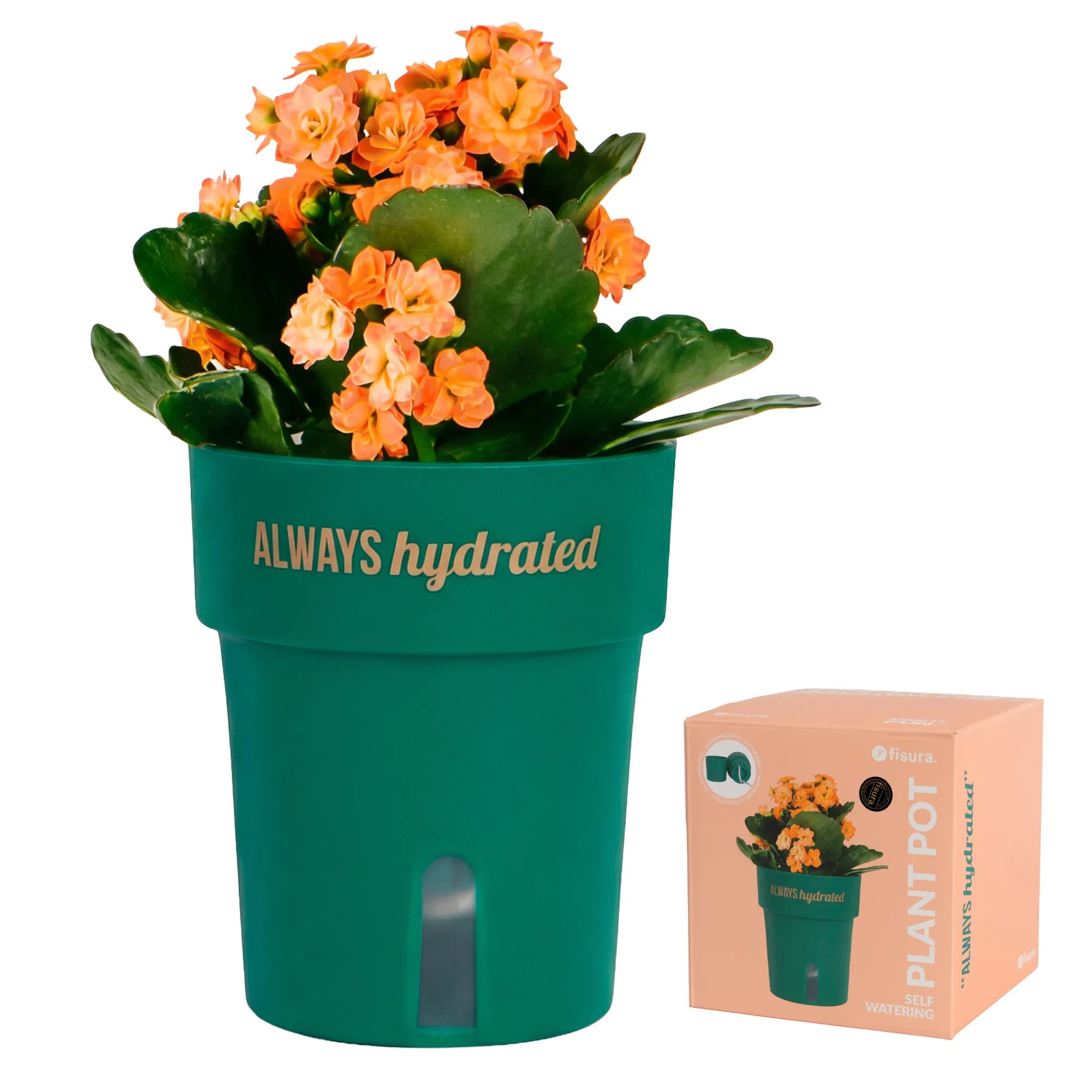 Macetero autorriego “Always hydrated”